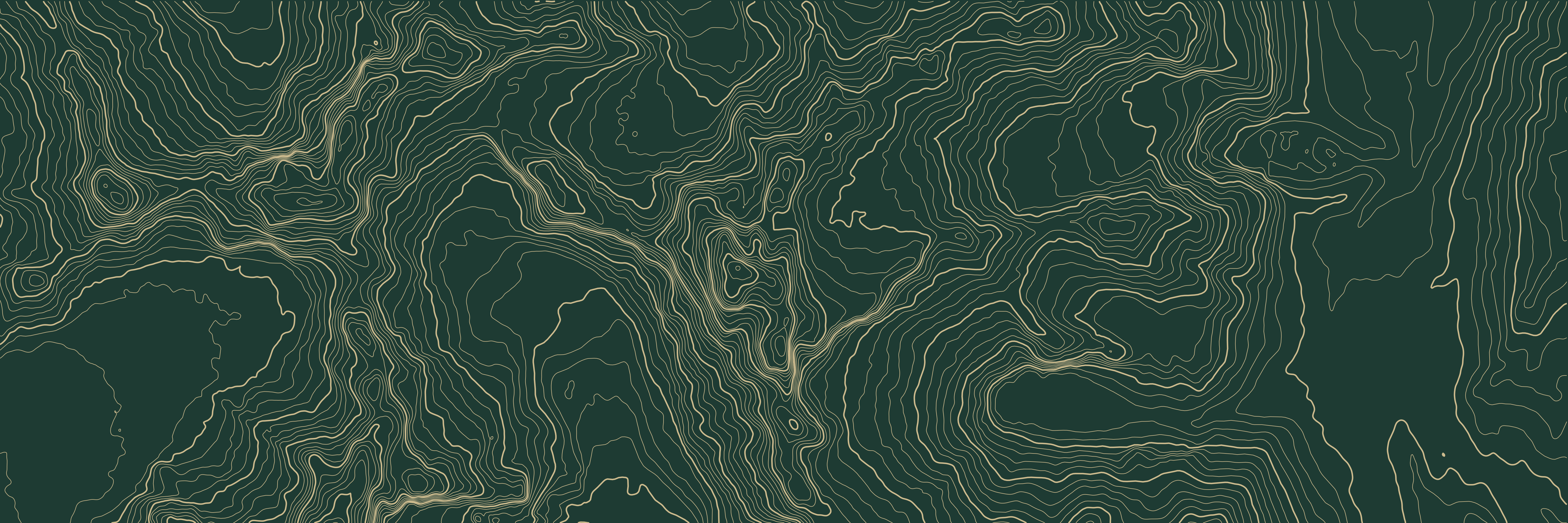 Topo Fitz Roy Vert bouteille — 9 × 3 m