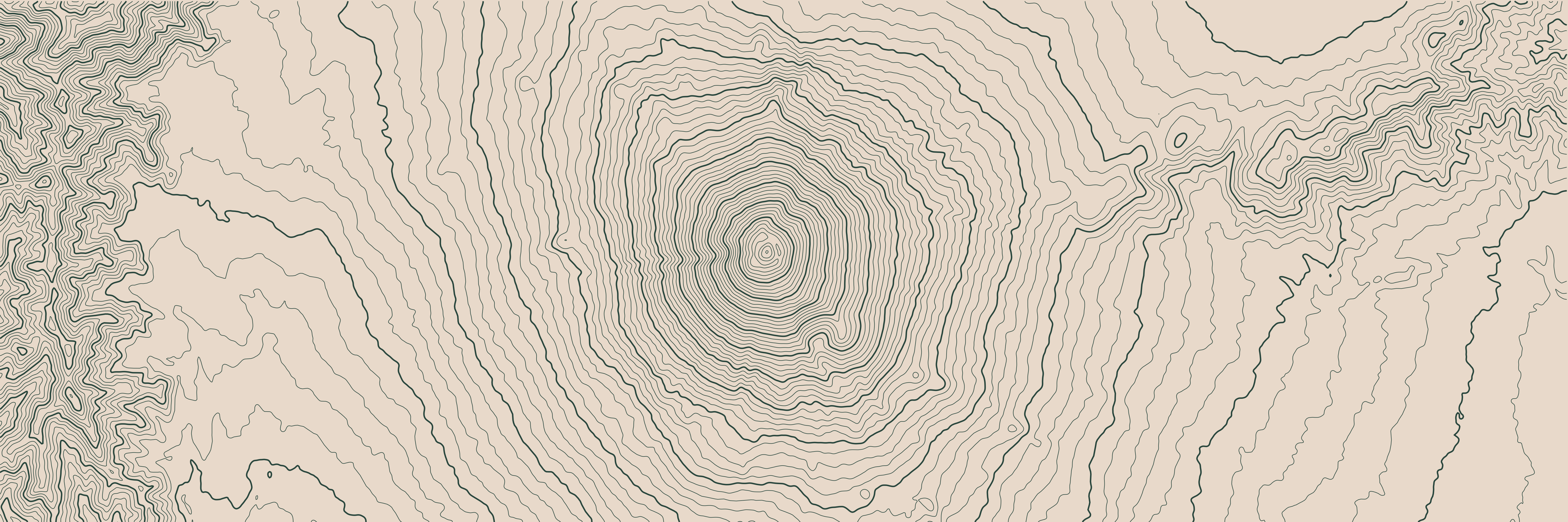 Topo Mont Fuji Vert Forêt — 9 × 3 m