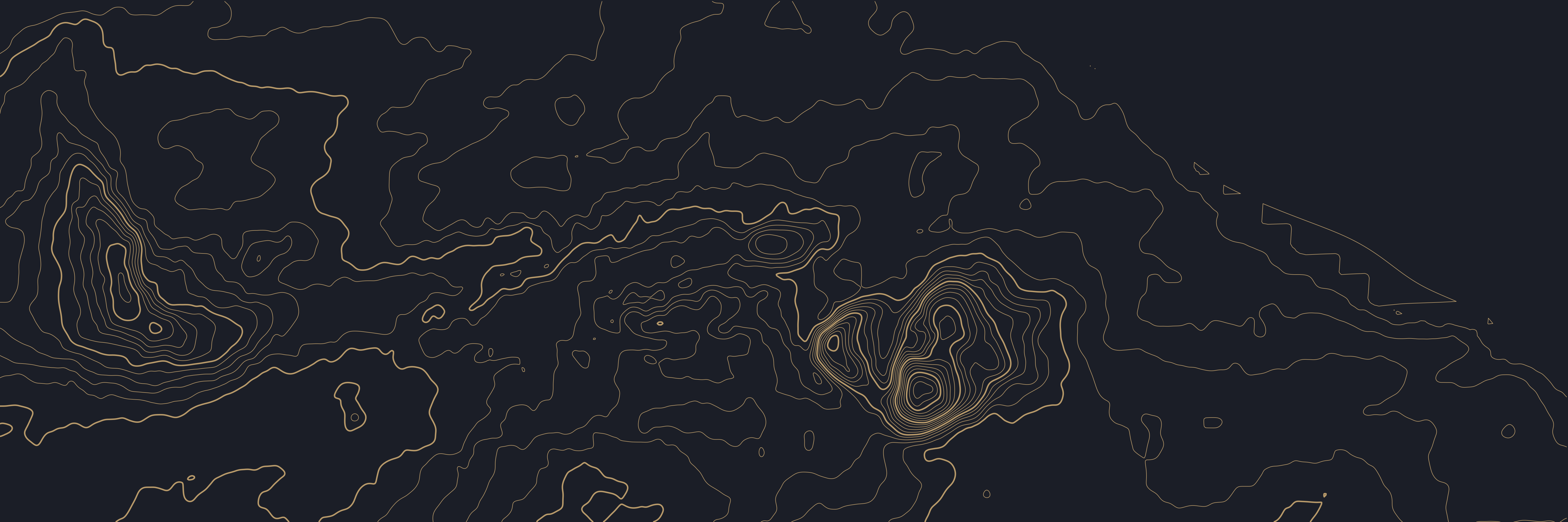 Topo Édimbourg Nuit — 9 × 3 m