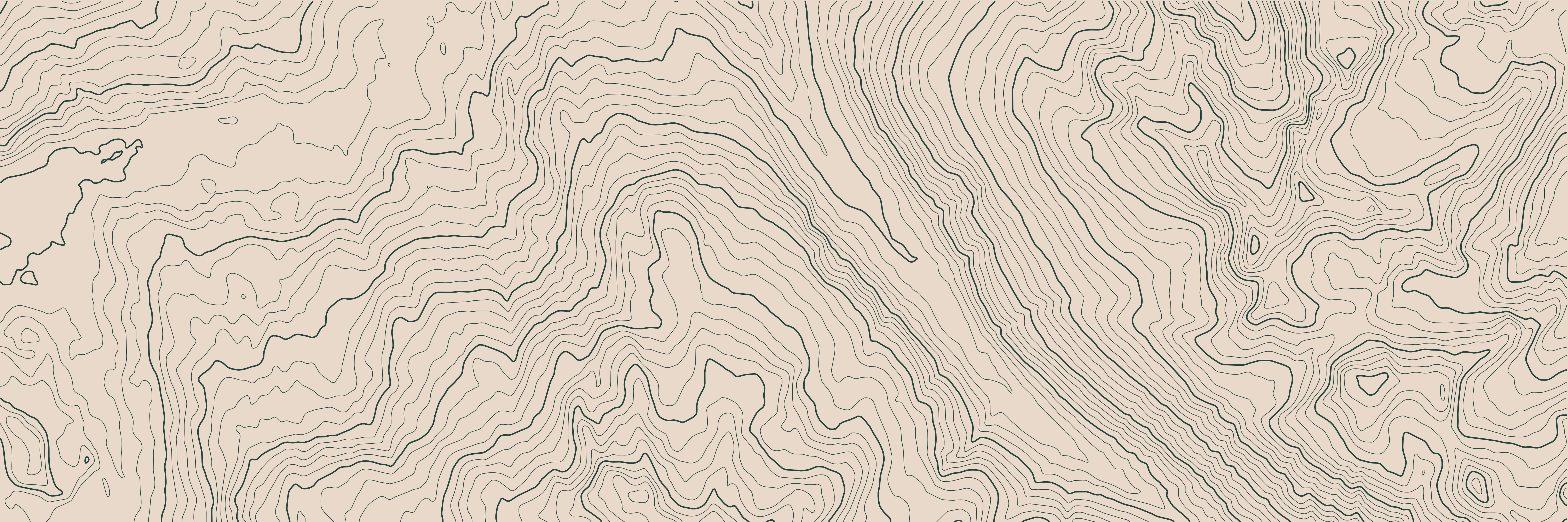 Topo Whistler Vert Forêt — 9 × 3 m