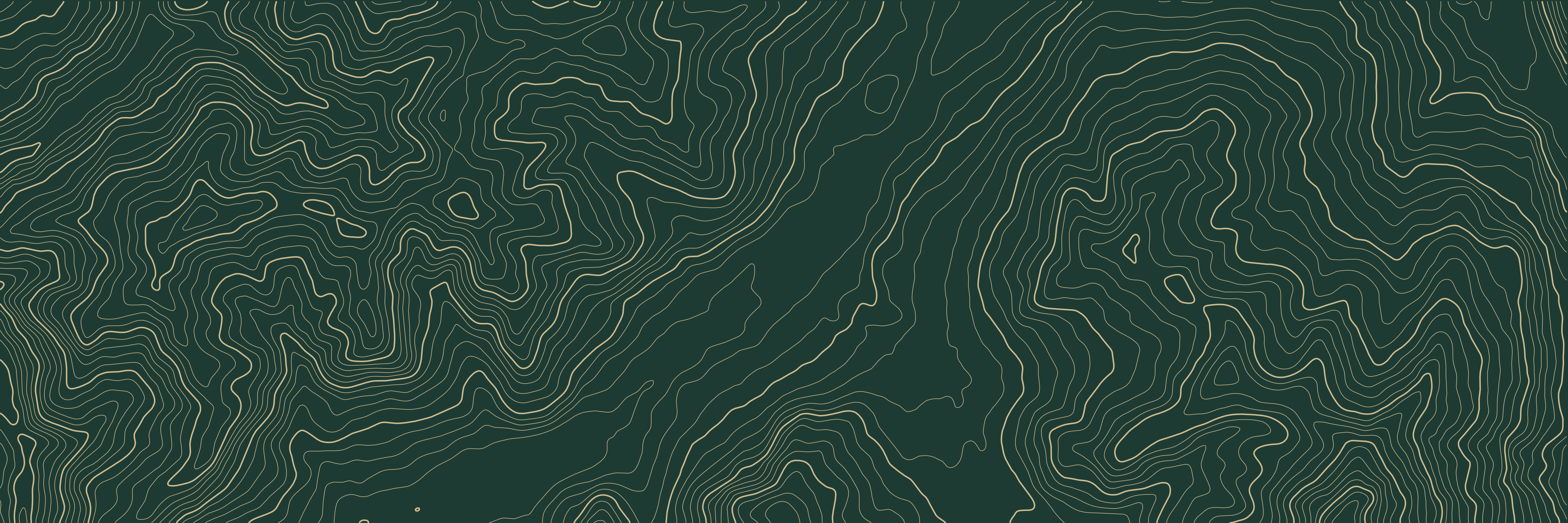 Topo Megève Vert bouteille — 9 × 3 m