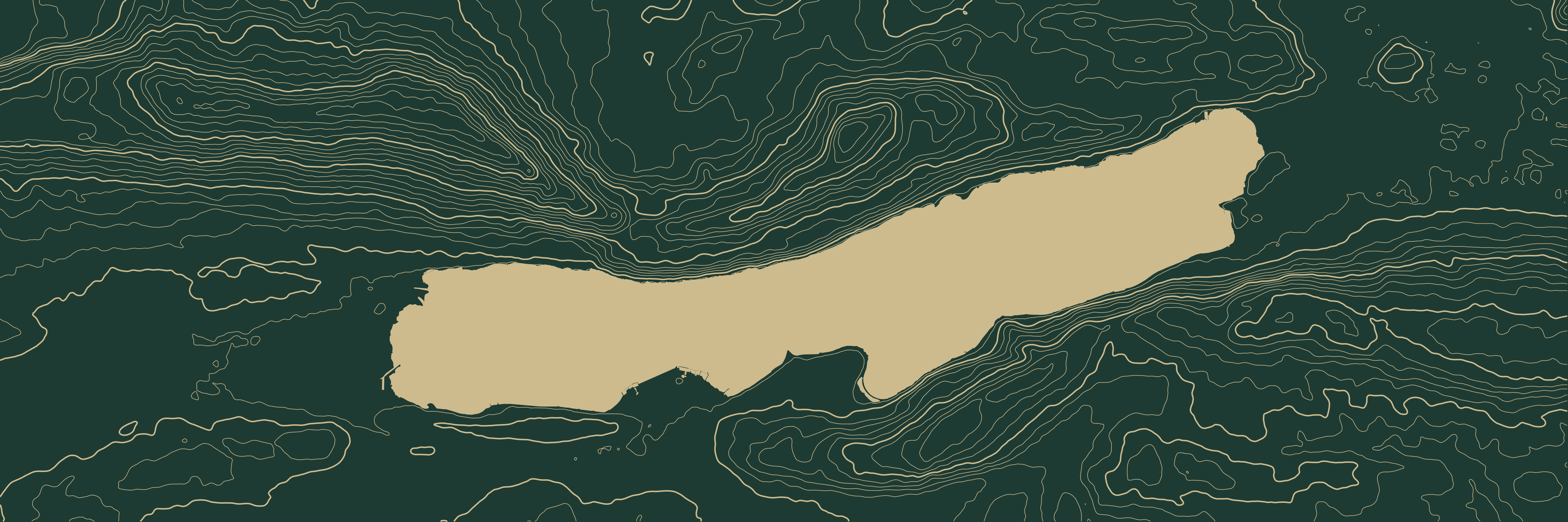 Topo Lac du Bourget Vert bouteille — 9 × 3 m