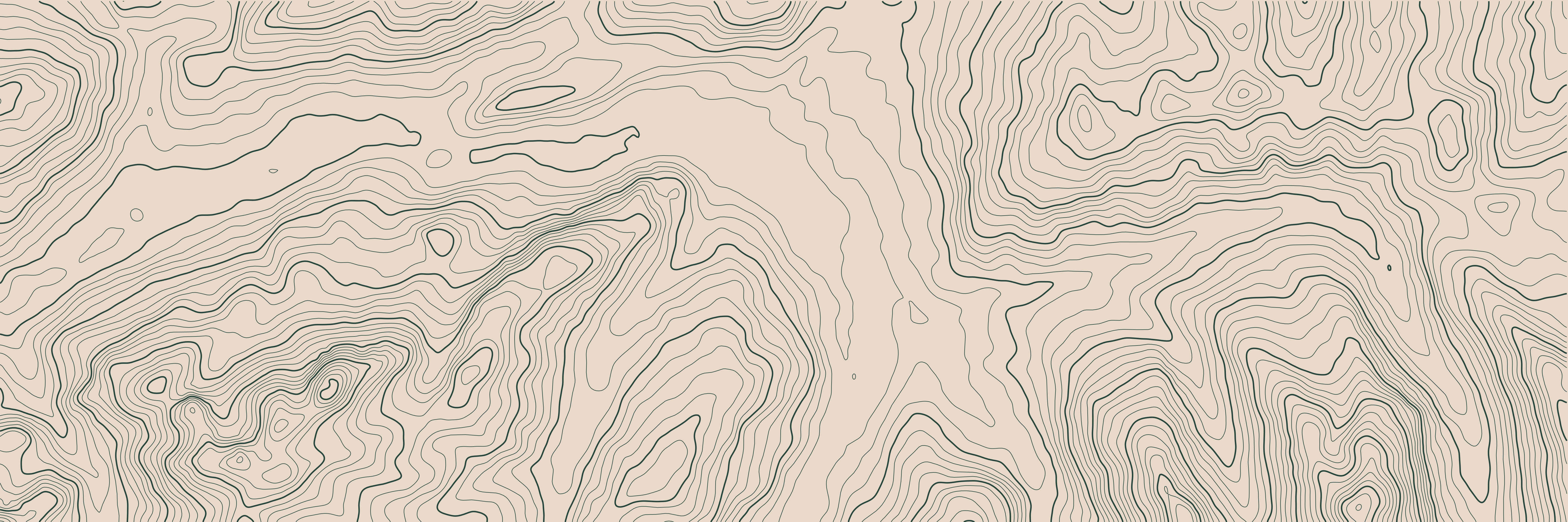 Topo Gstaad Vert Forêt — 9 × 3 m