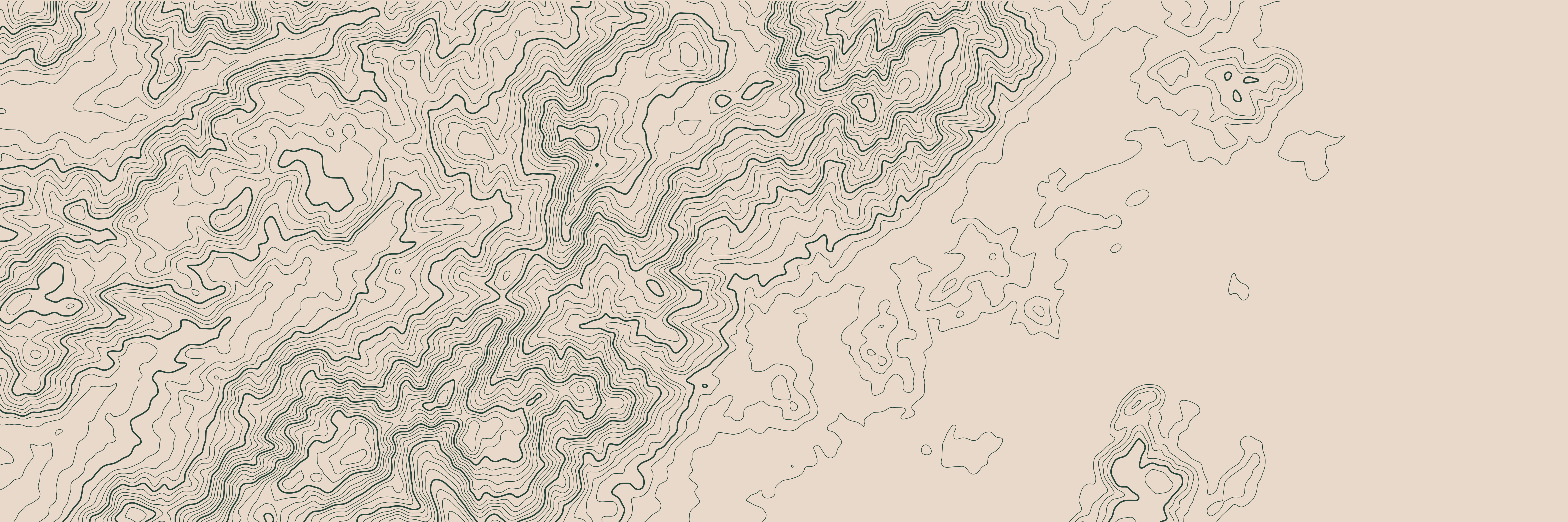 Topo Corse Porto-Vecchio Vert Forêt — 9 × 3 m