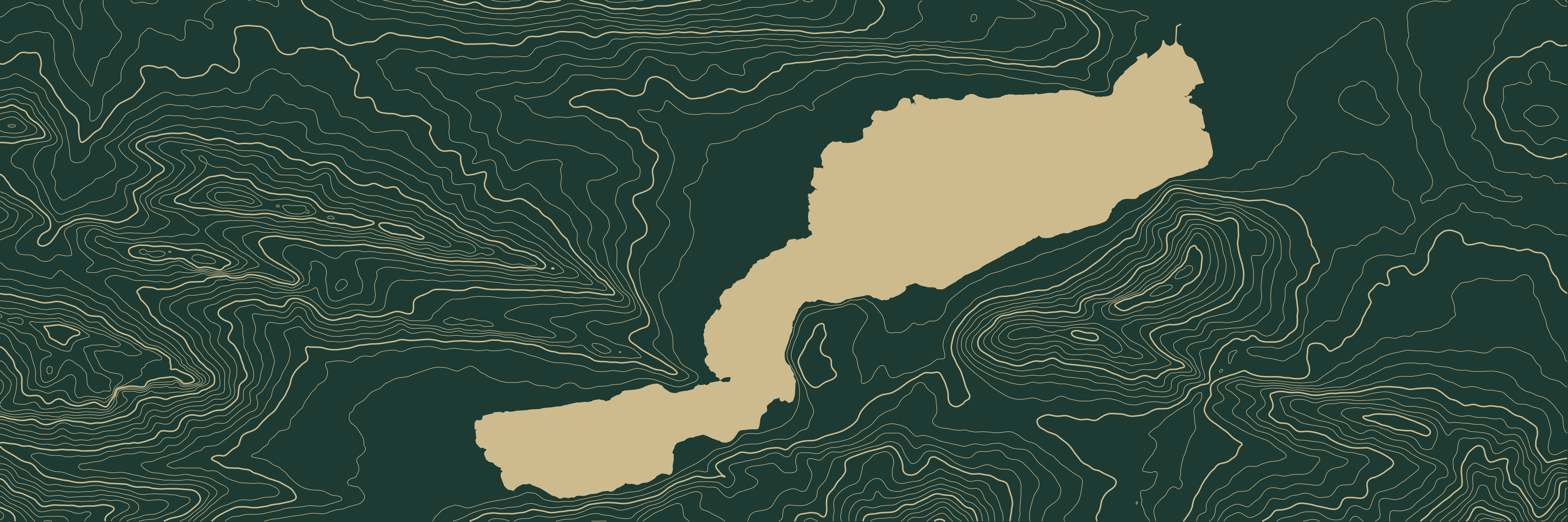 Topo Lac d'Annecy Vert bouteille — 9 × 3 m