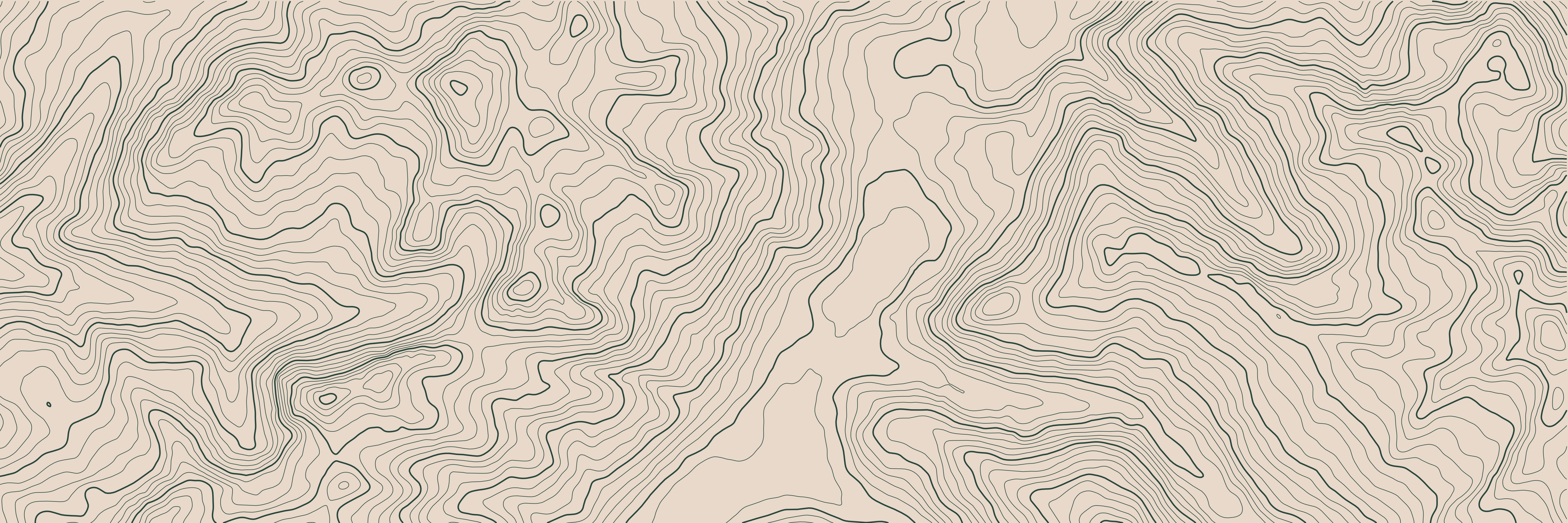 Topo Davos-Klosters Vert Forêt — 9 × 3 m