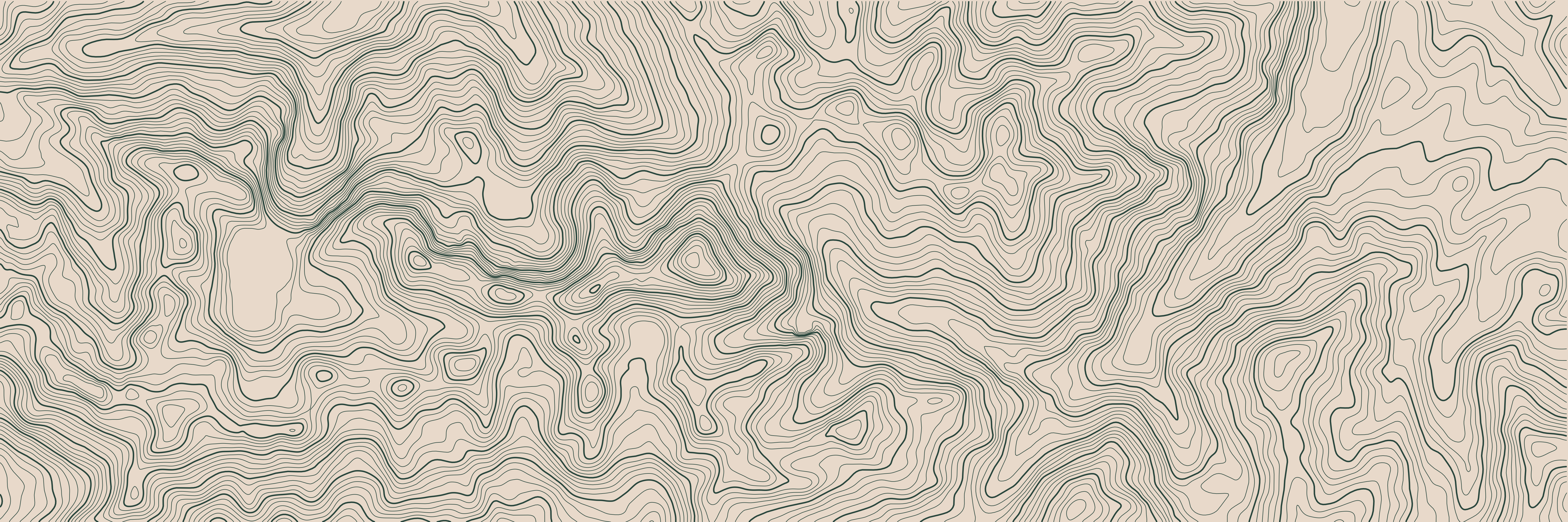 Topo Pic du Midi Vert Forêt — 9 × 3 m