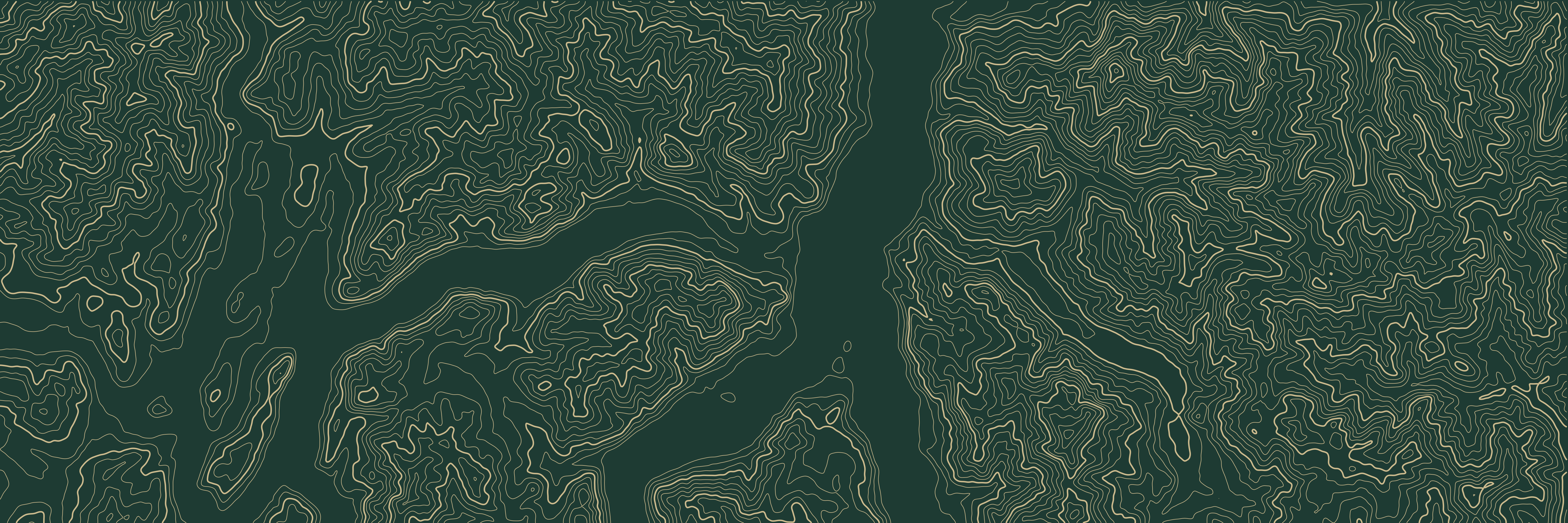 Topo Lac de Côme Vert bouteille — 9 × 3 m