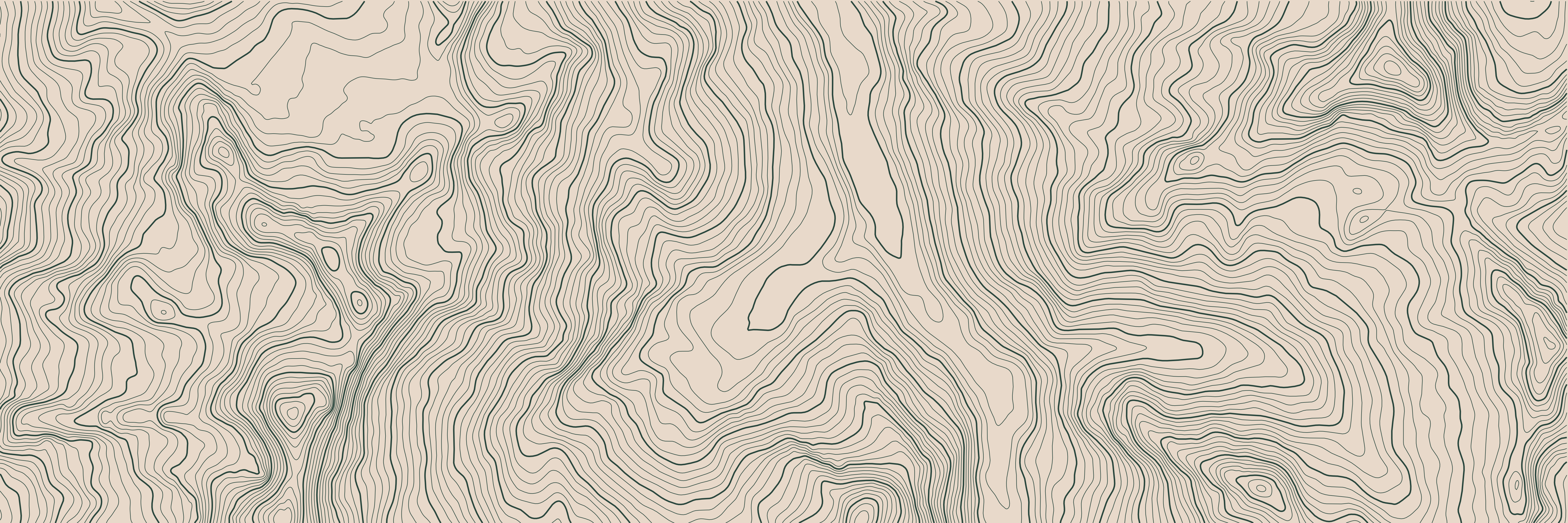 Topo Saas-Fee Vert Forêt — 9 × 3 m