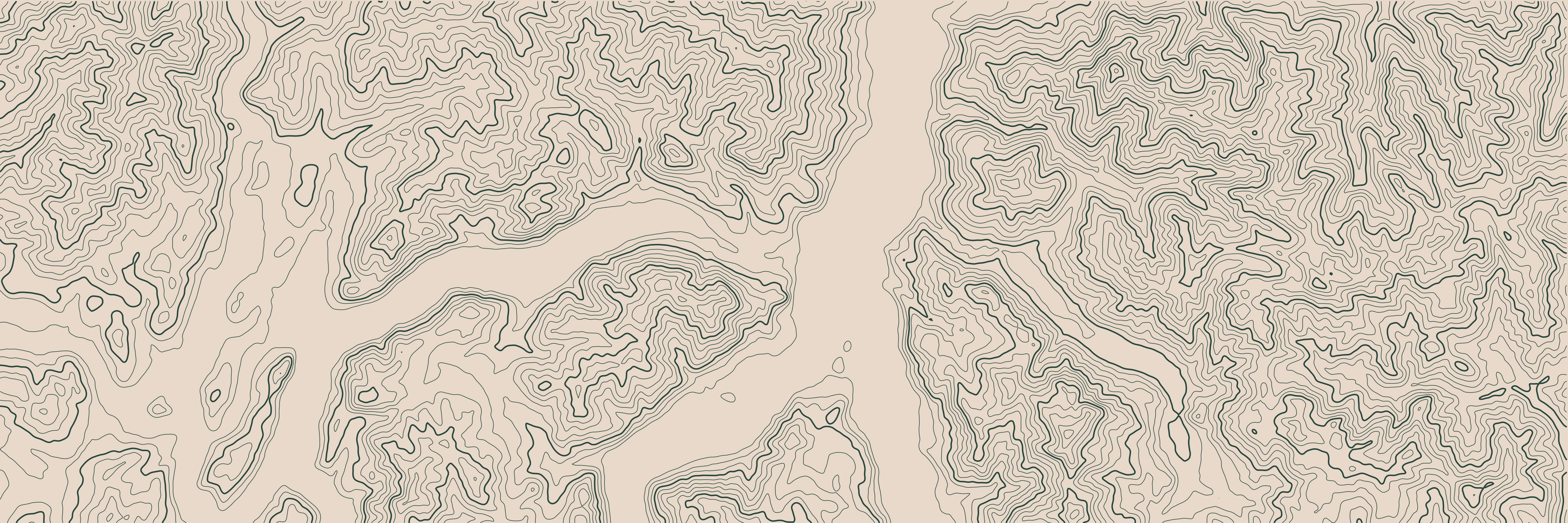 Topo Lac de Côme Vert Forêt — 9 × 3 m