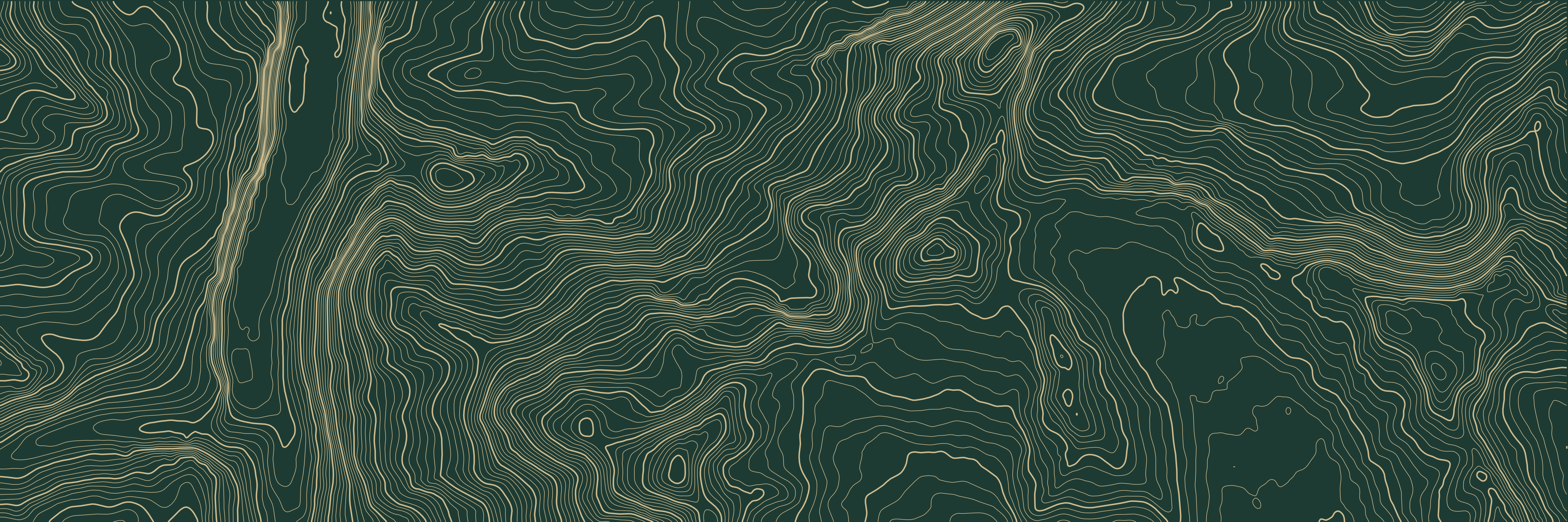 Topo Eiger Jungfrau Vert bouteille — 9 × 3 m