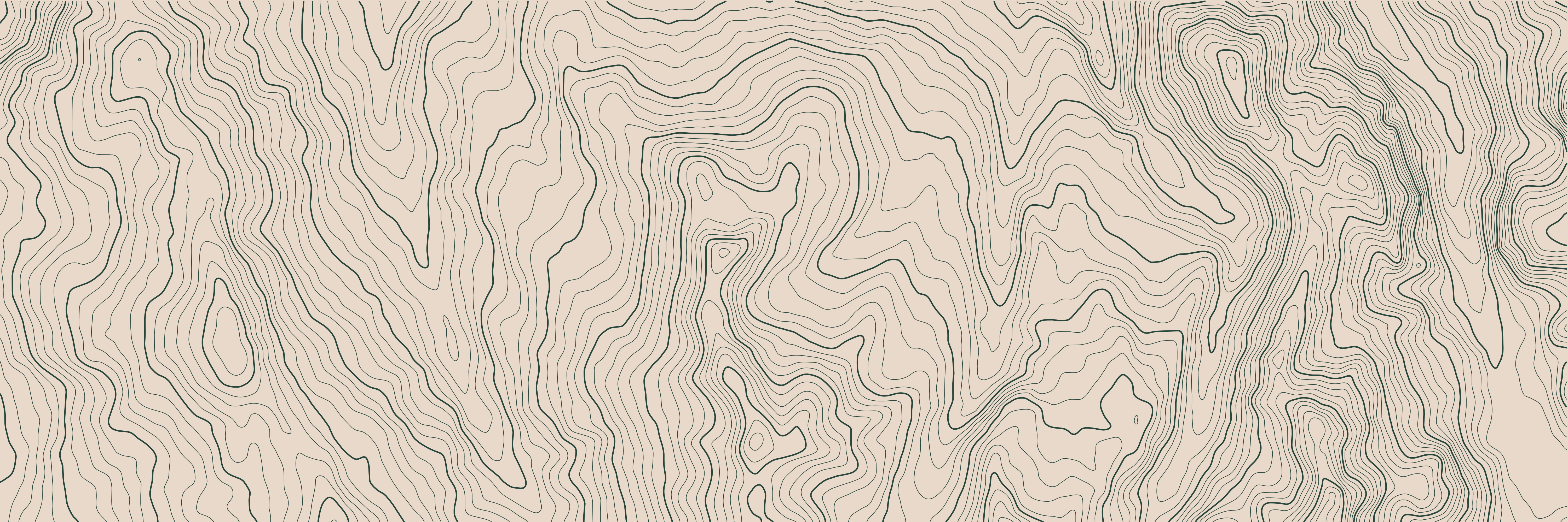 Topo Courchevel Vert Forêt — 9 × 3 m