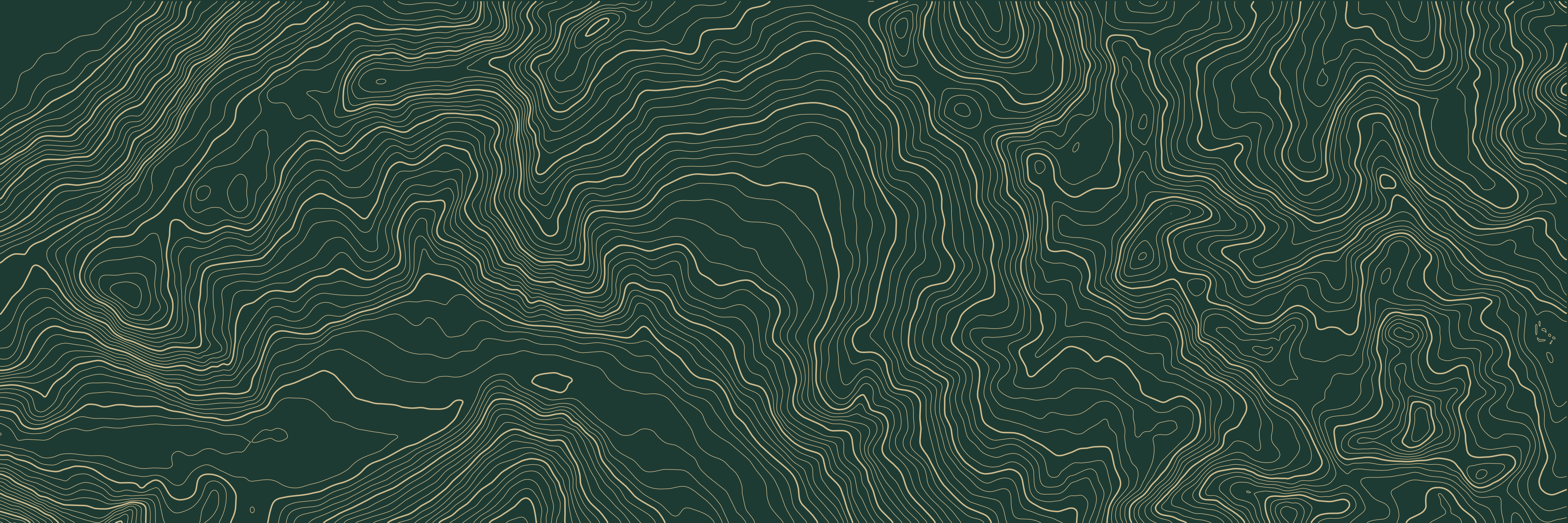 Topo Verbier Vert bouteille — 9 × 3 m