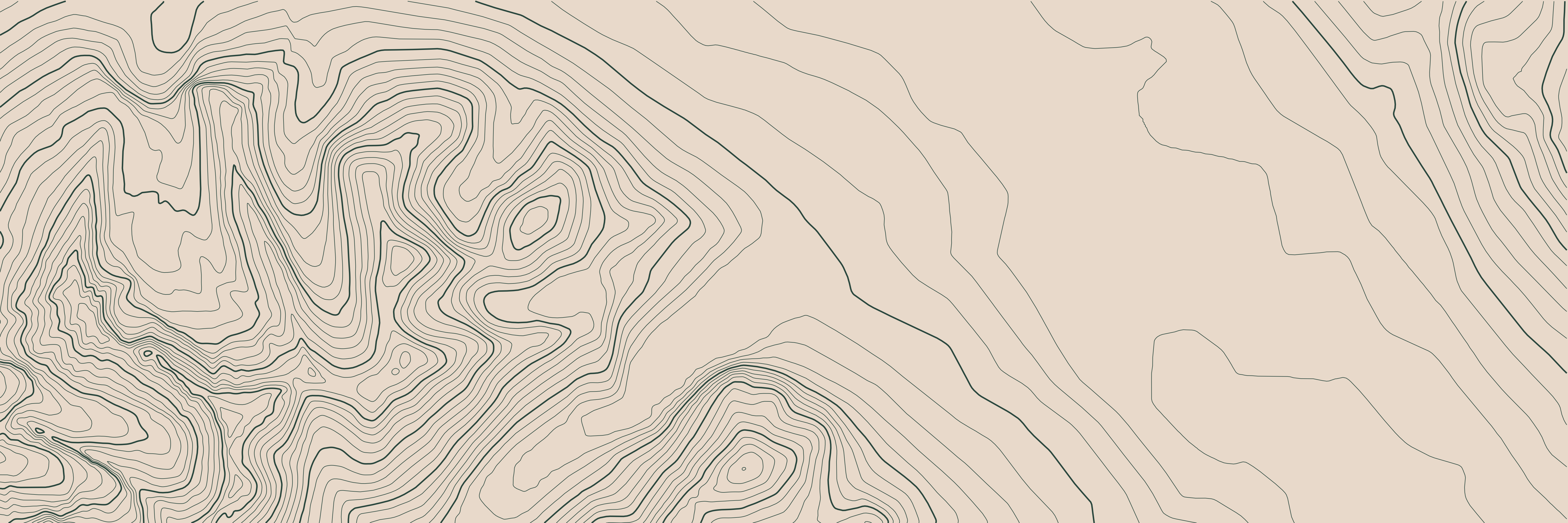 Topo Lago Louise Verde bosque — 9 × 3 m