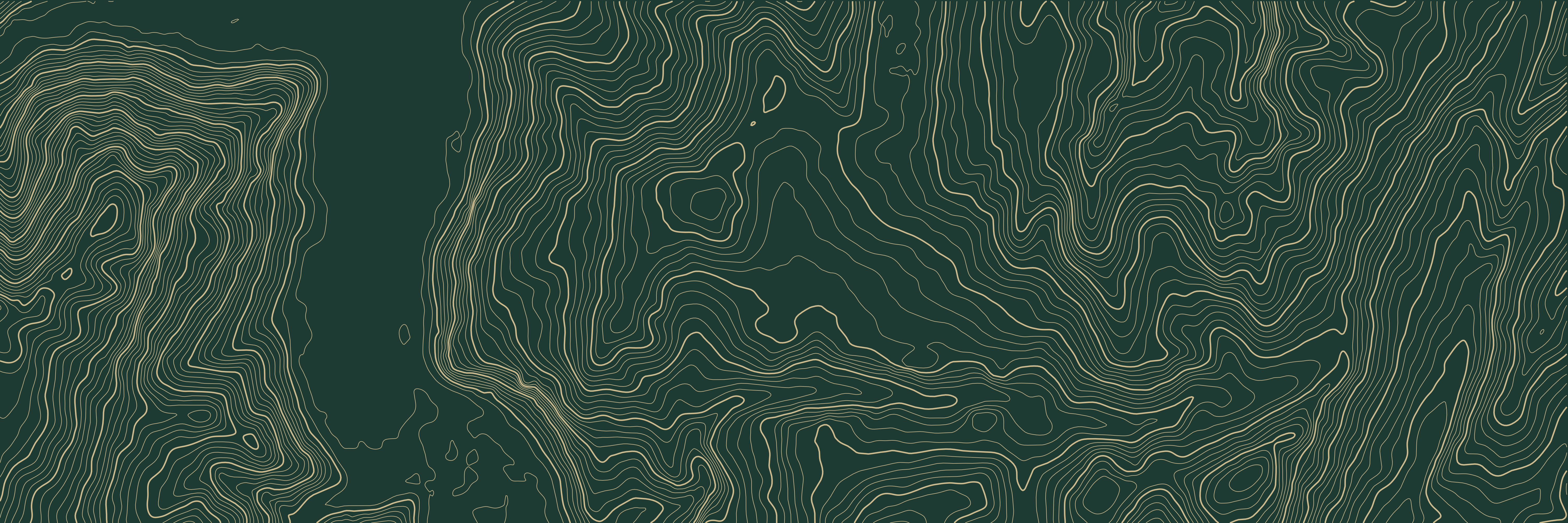 Topo Alpe d'Huez Vert bouteille — 9 × 3 m