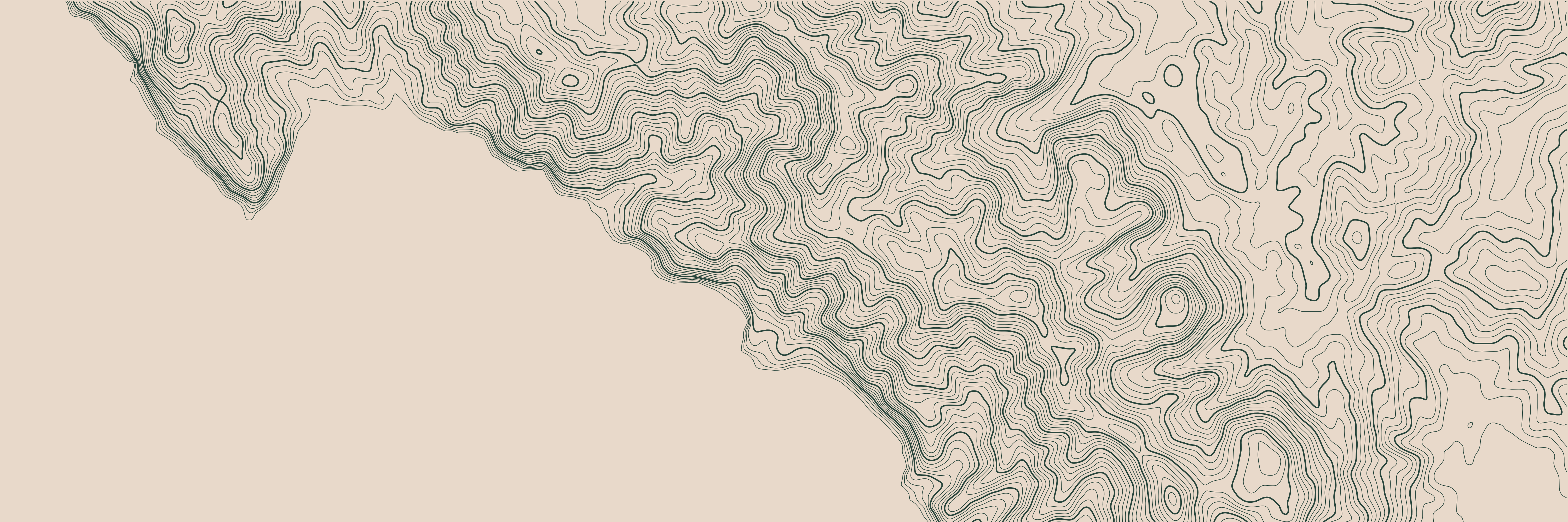 Topo Cinque Terre Vert Forêt — 9 × 3 m