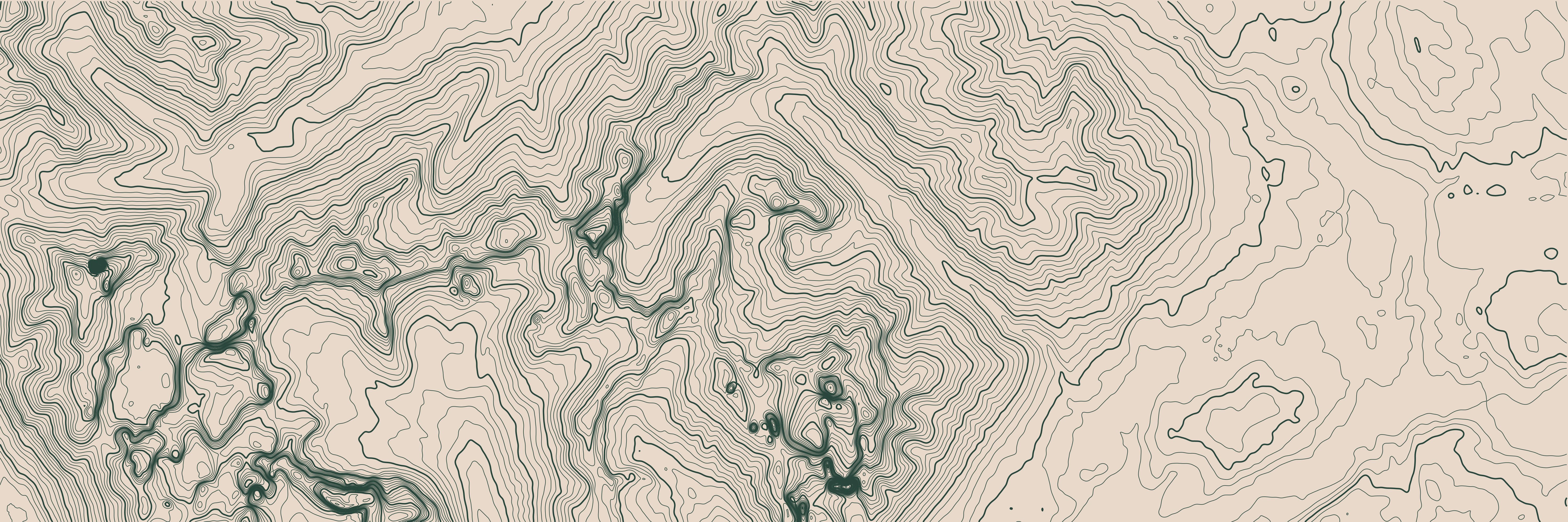 Topo Torres del Paine Verde bosque — 9 × 3 m