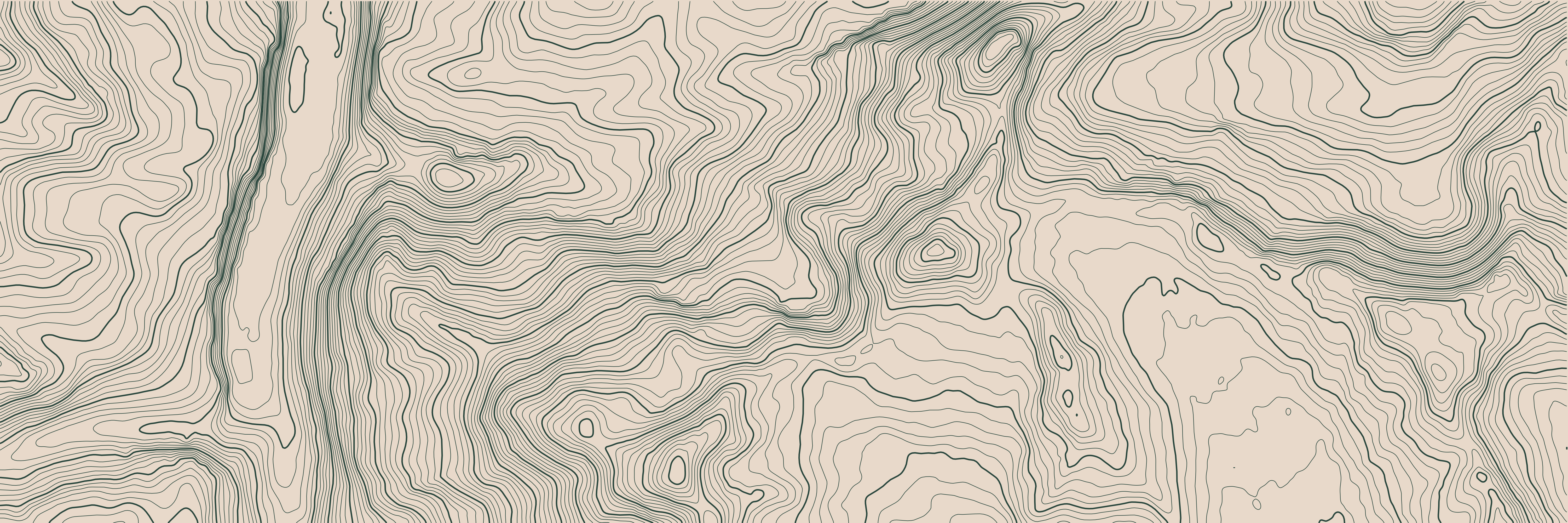 Topo Eiger Jungfrau Vert Forêt — 9 × 3 m