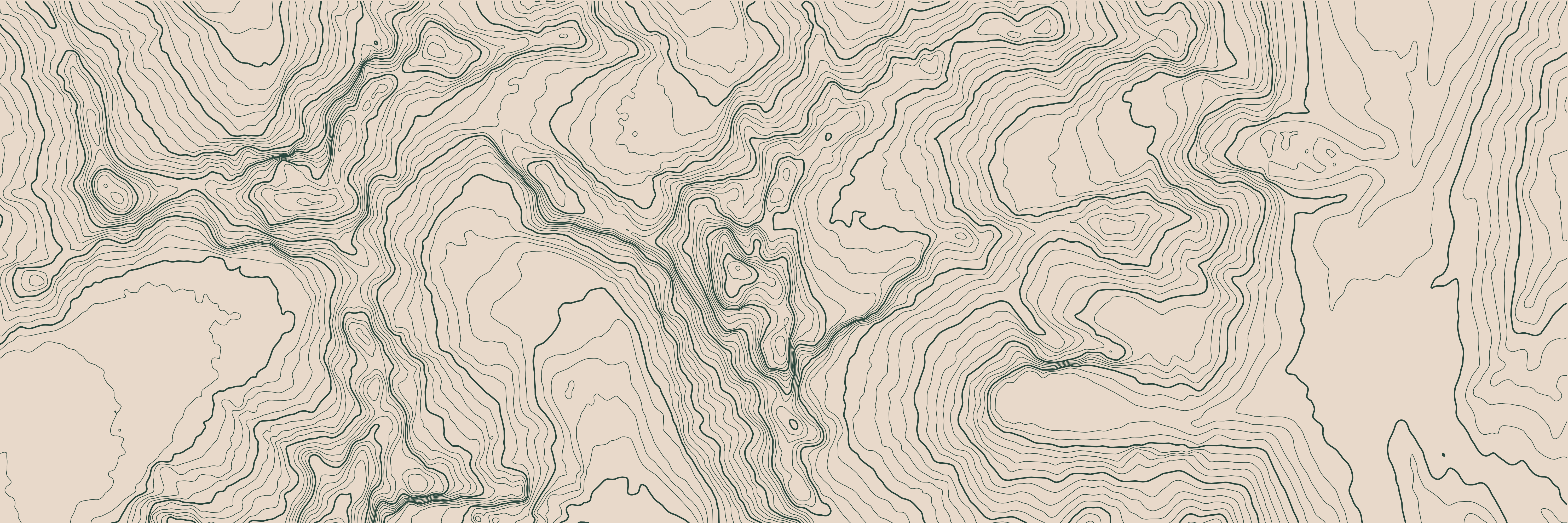 Topo Fitz Roy Verde bosque — 9 × 3 m