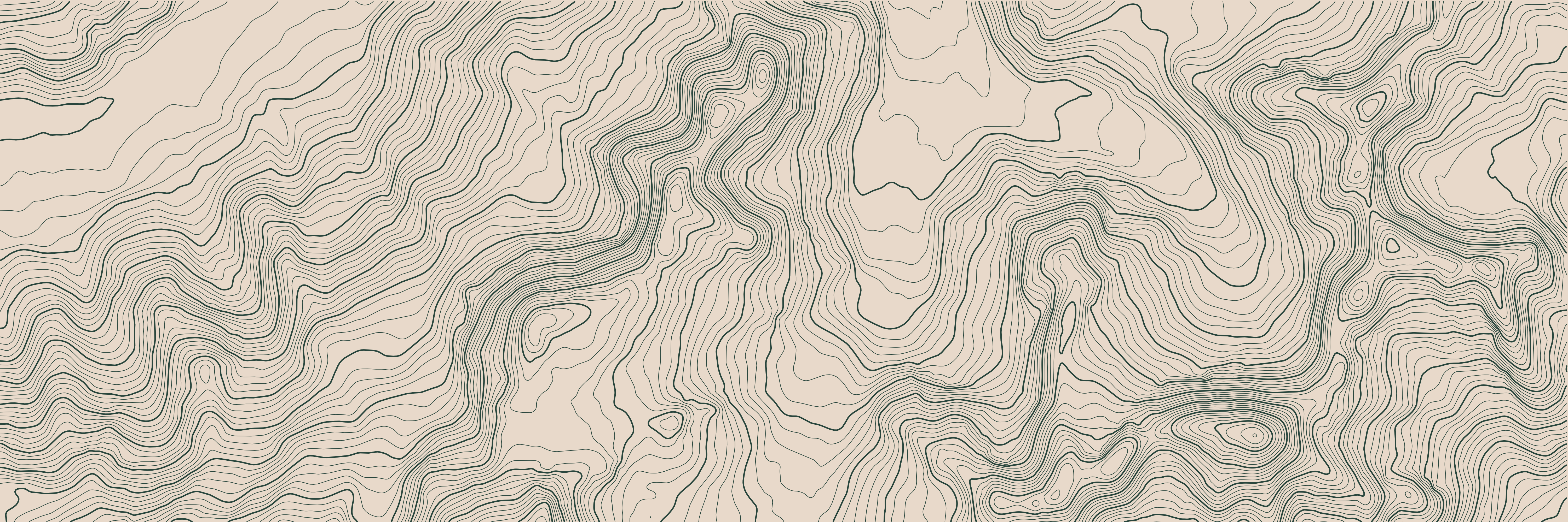 Topo Chamonix Vert Forêt — 9 × 3 m