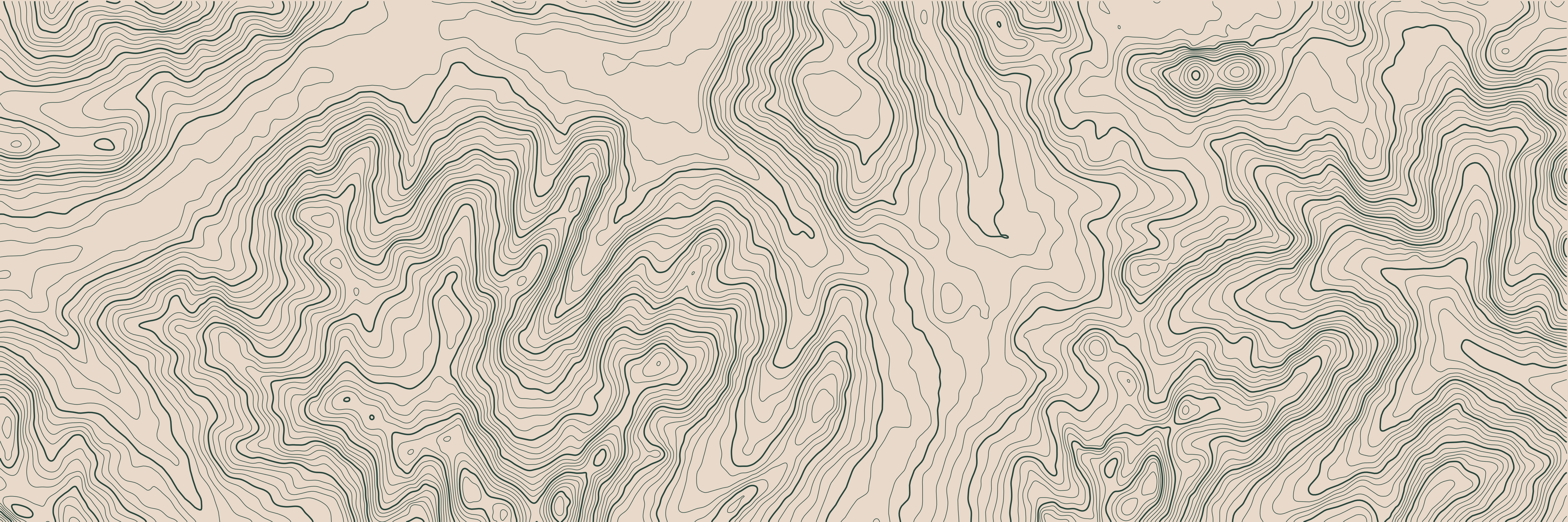 Topo Dolomites Vert Forêt — 9 × 3 m