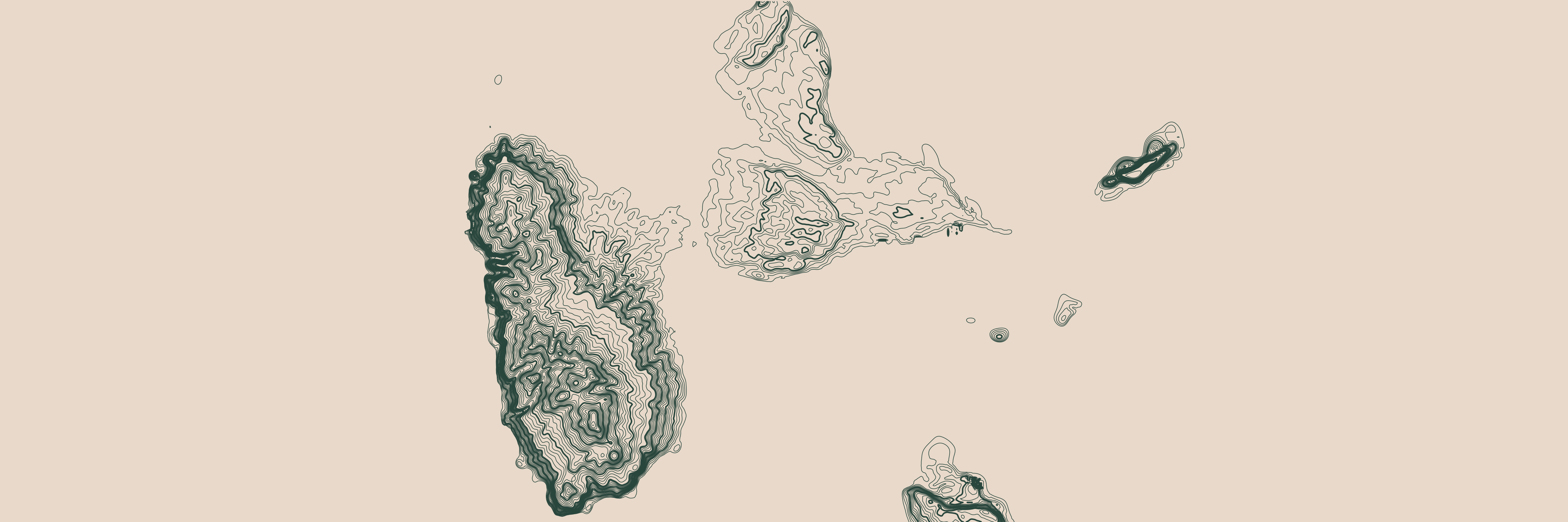 Topo Guadeloupe Vert Forêt — 9 × 3 m