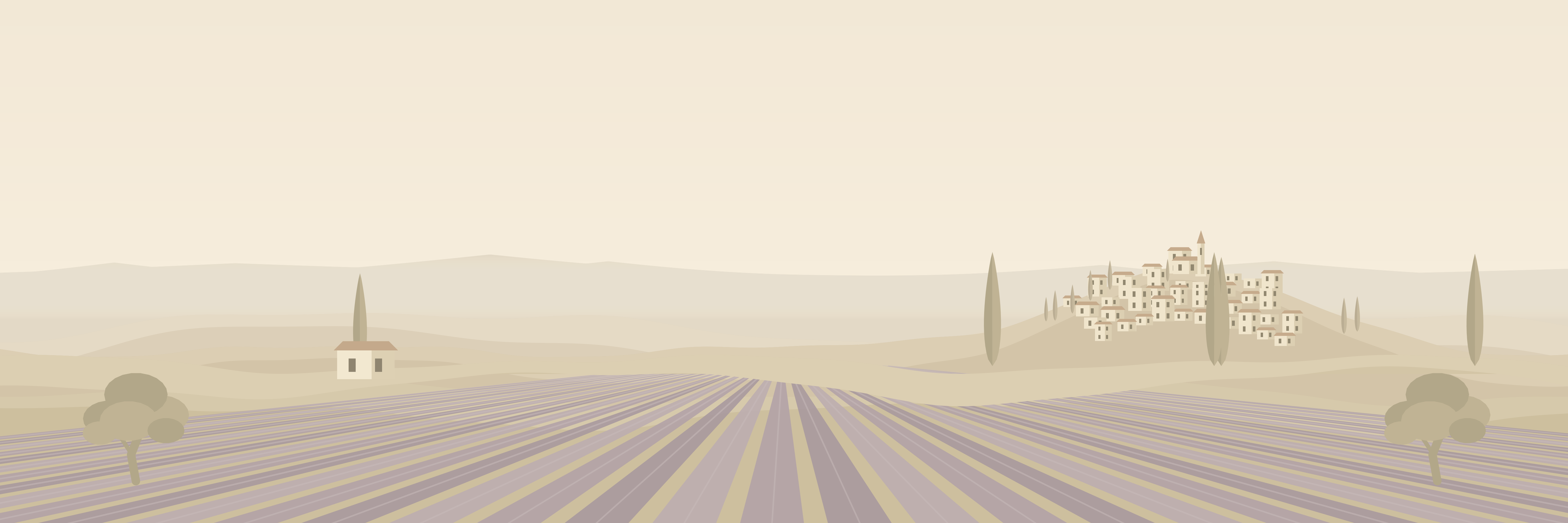 Lavandas — 9 × 3 m