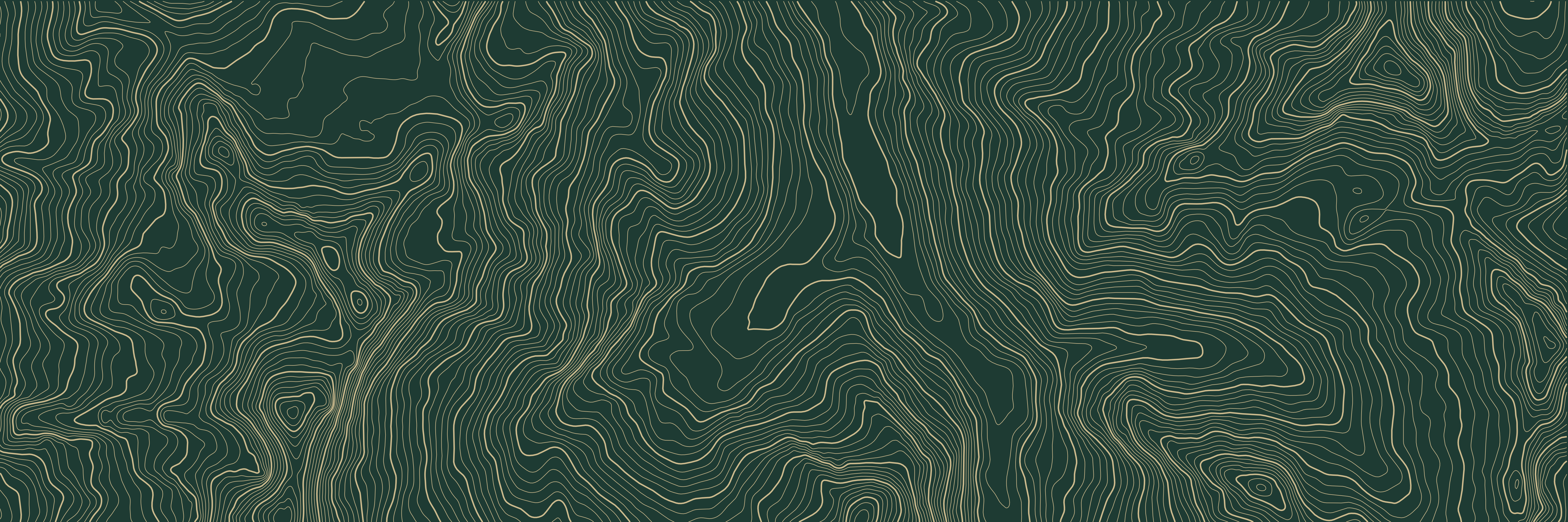 Topo Saas-Fee Vert bouteille — 9 × 3 m
