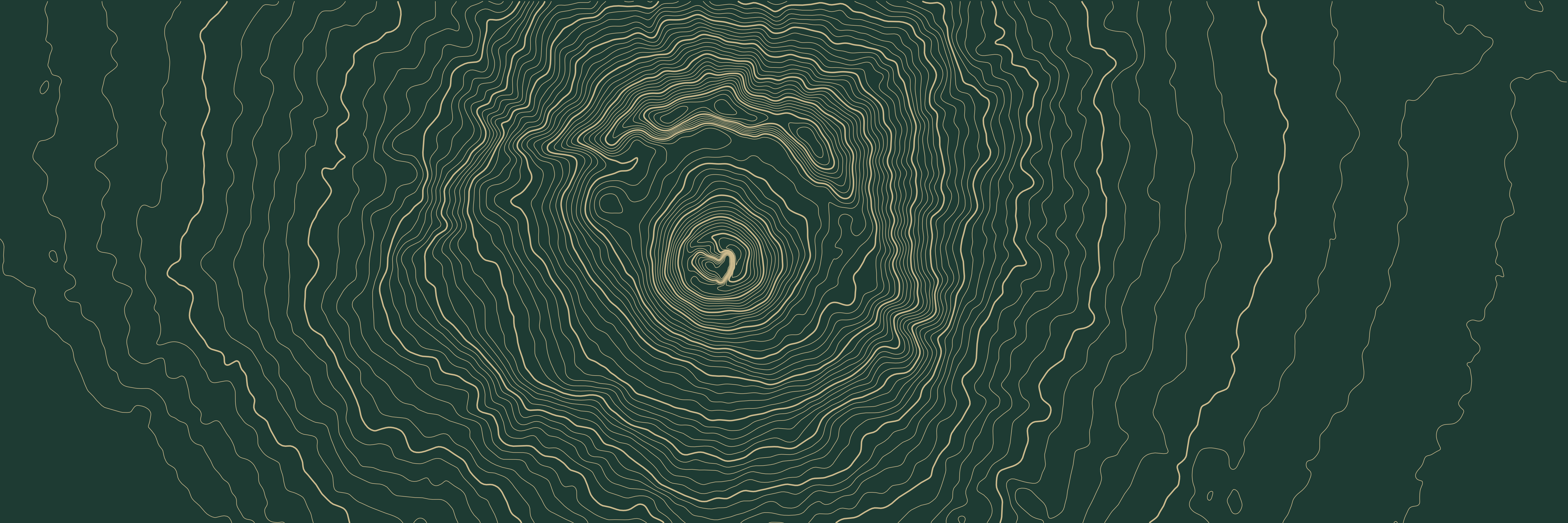 Topo Vésuve Vert bouteille — 9 × 3 m