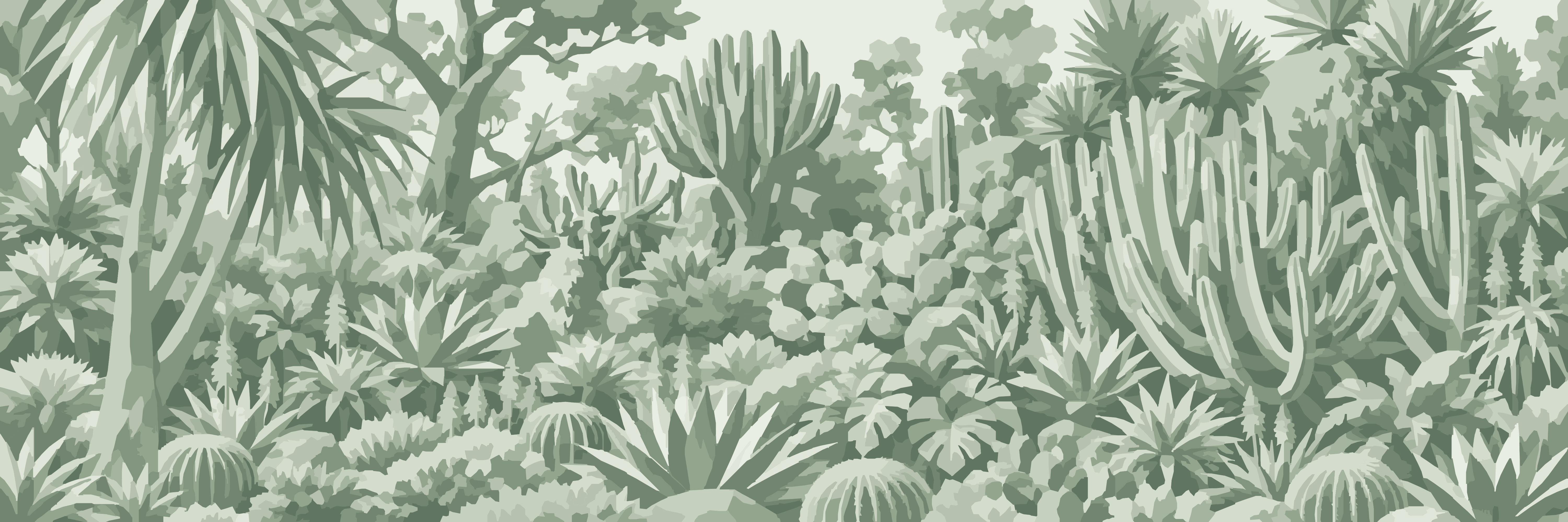Sage Cactus Garden — 9 × 3 m
