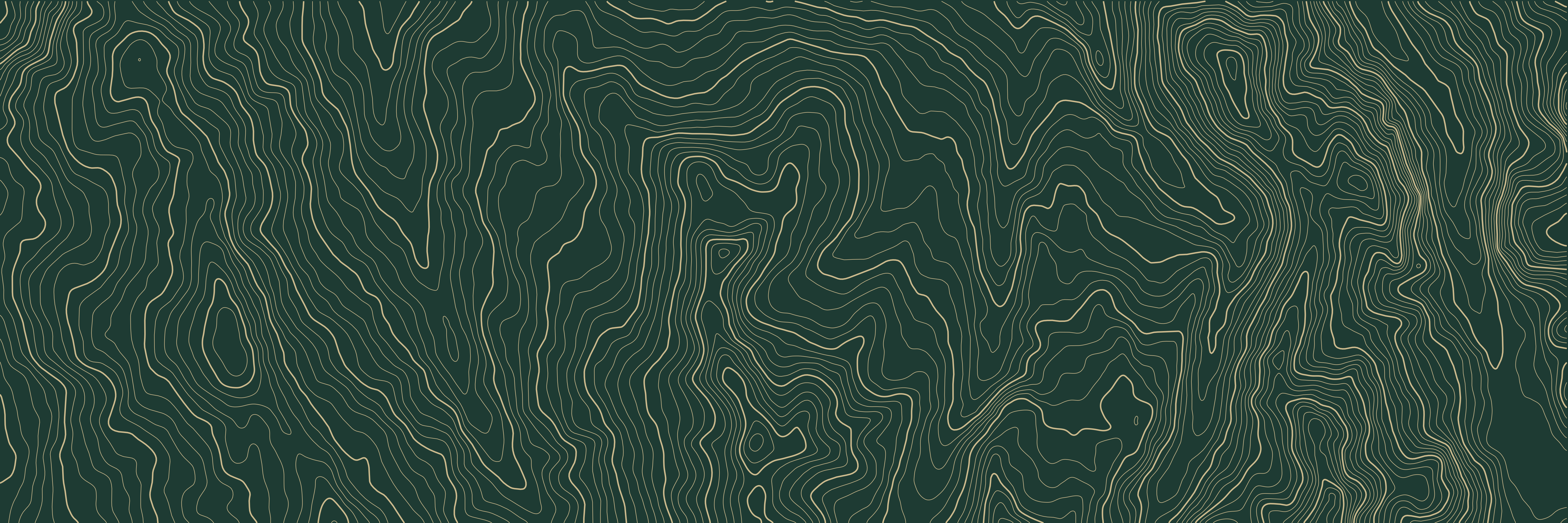 Topo Courchevel Vert bouteille — 9 × 3 m