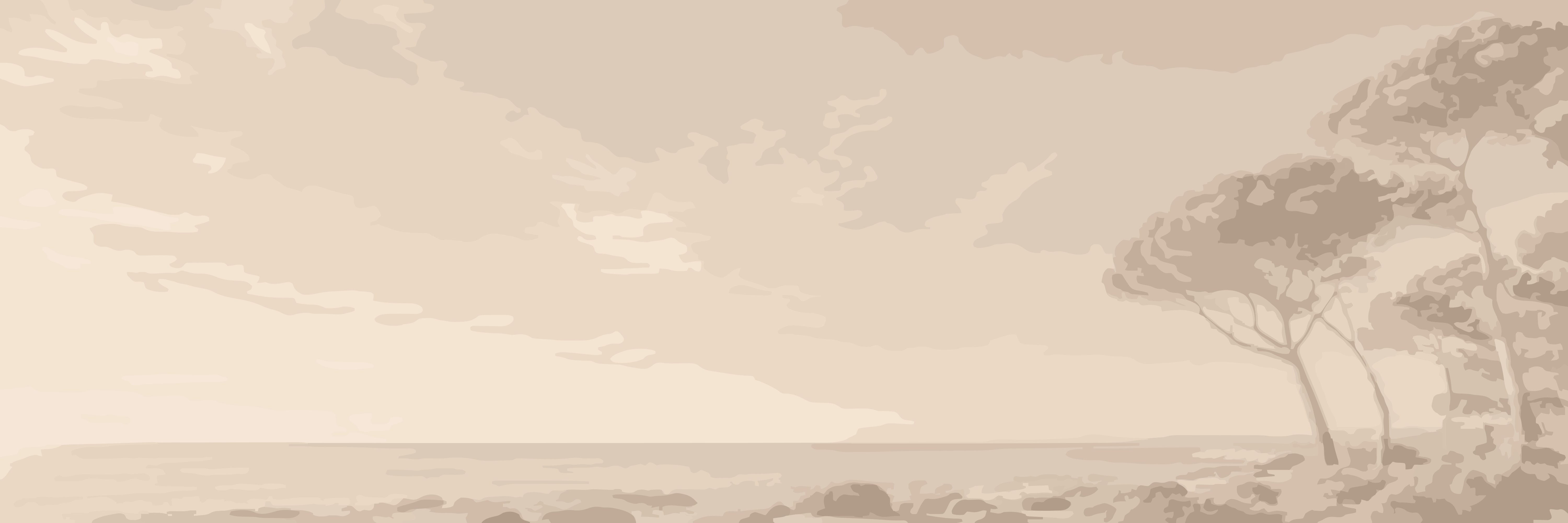 Umbrella Pines — 9 × 3 m