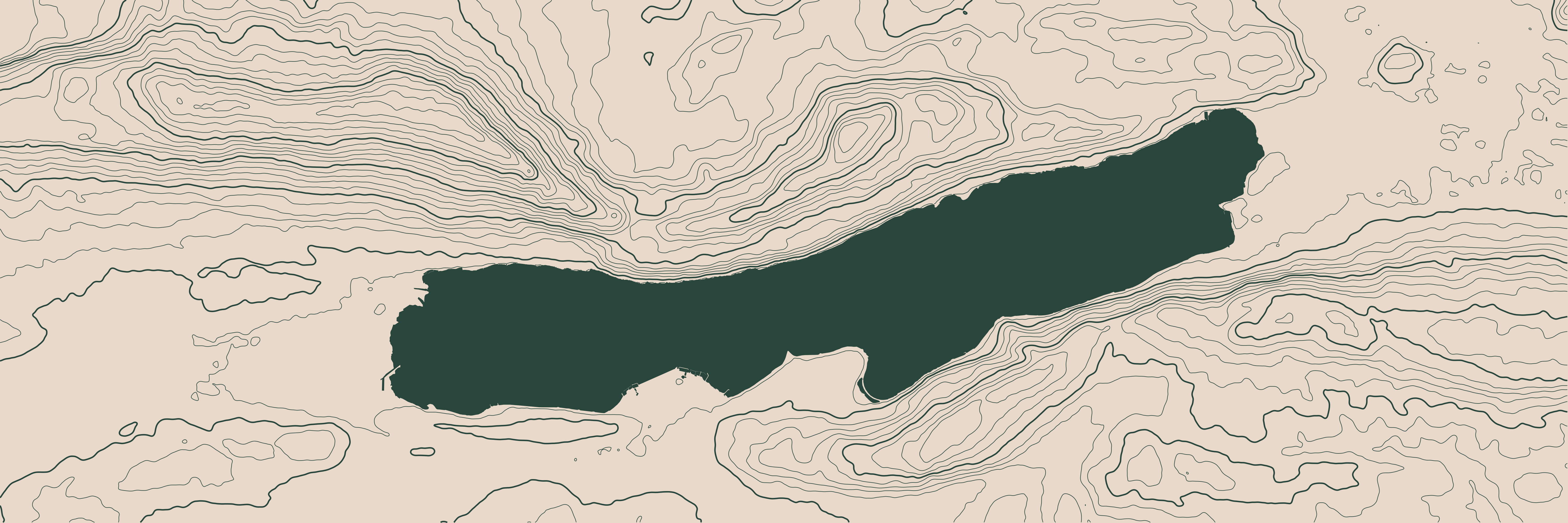Topo Lac du Bourget Vert Forêt — 9 × 3 m