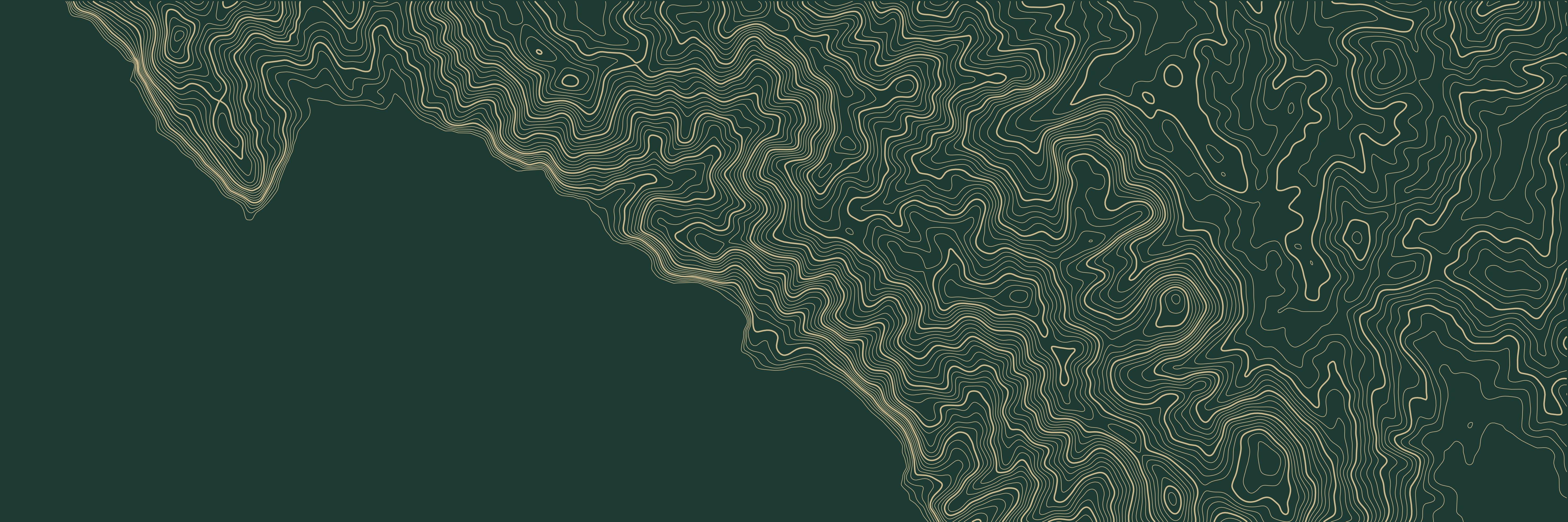 Topo Cinque Terre Vert bouteille — 9 × 3 m