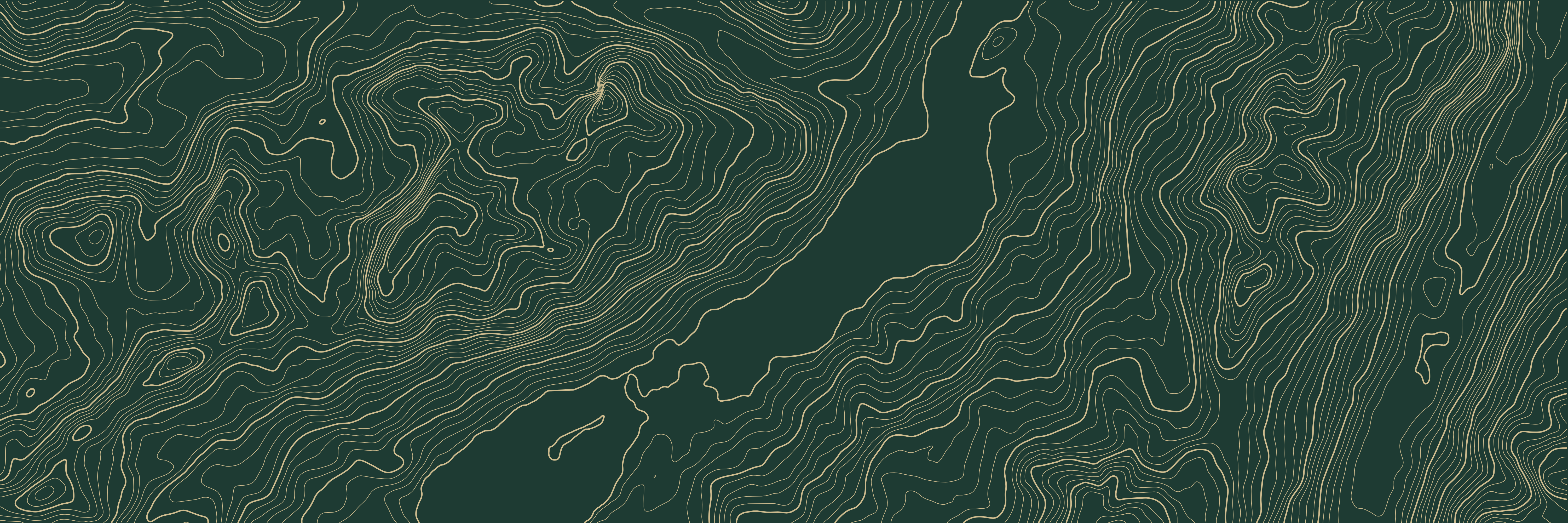 Topo St-Moritz Vert bouteille — 9 × 3 m