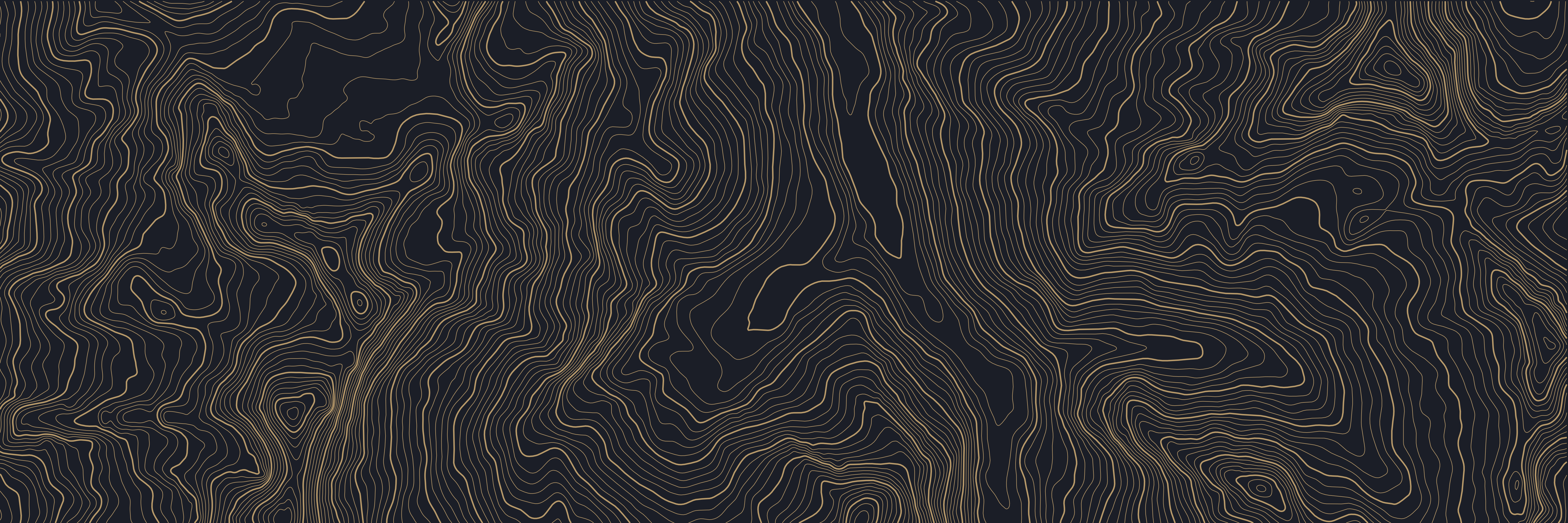 Topo Saas-Fee Nuit — 9 × 3 m