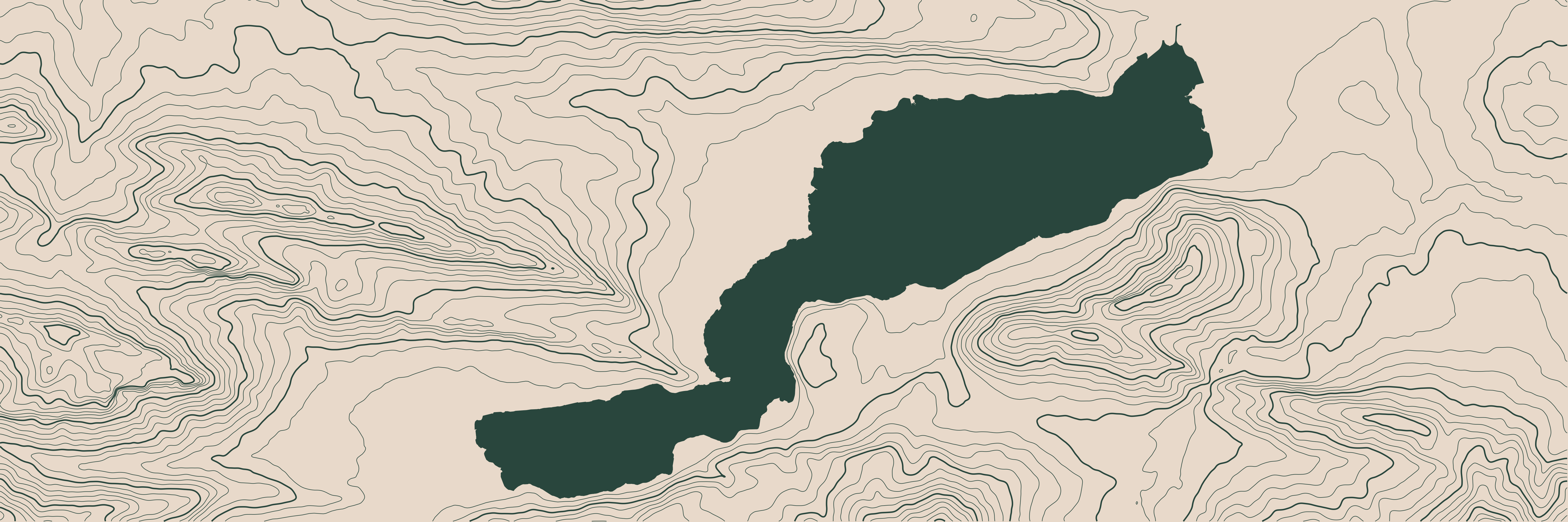 Topo Lac d'Annecy Vert Forêt — 9 × 3 m