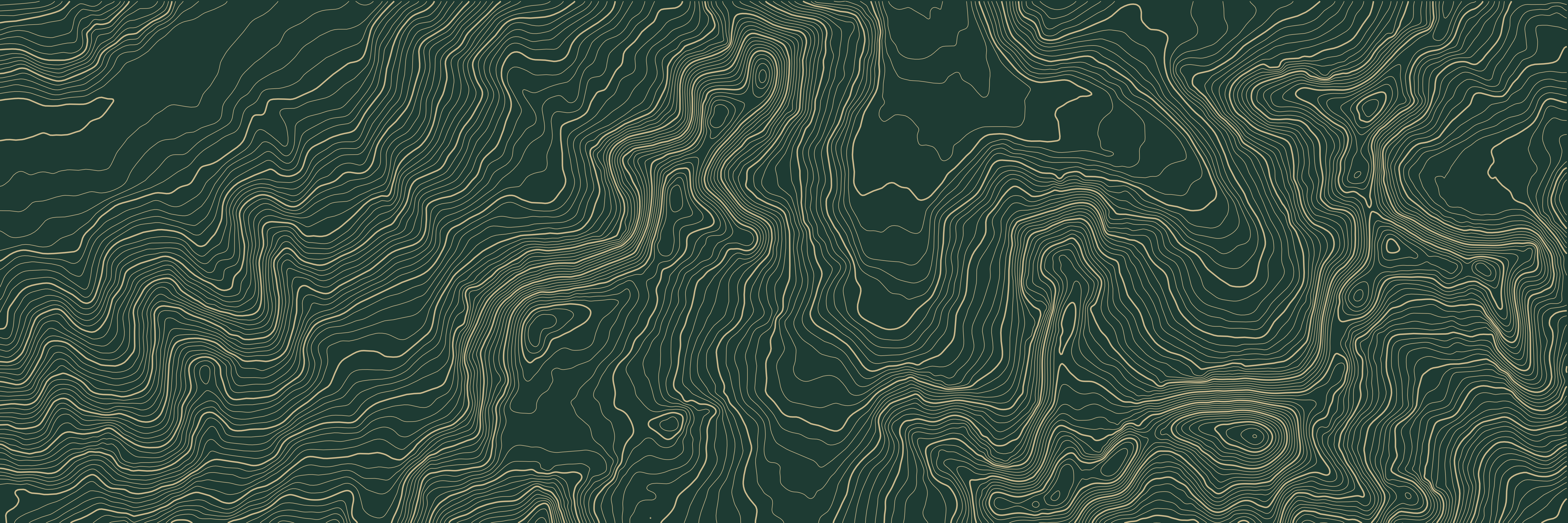 Topo Chamonix Vert bouteille — 9 × 3 m