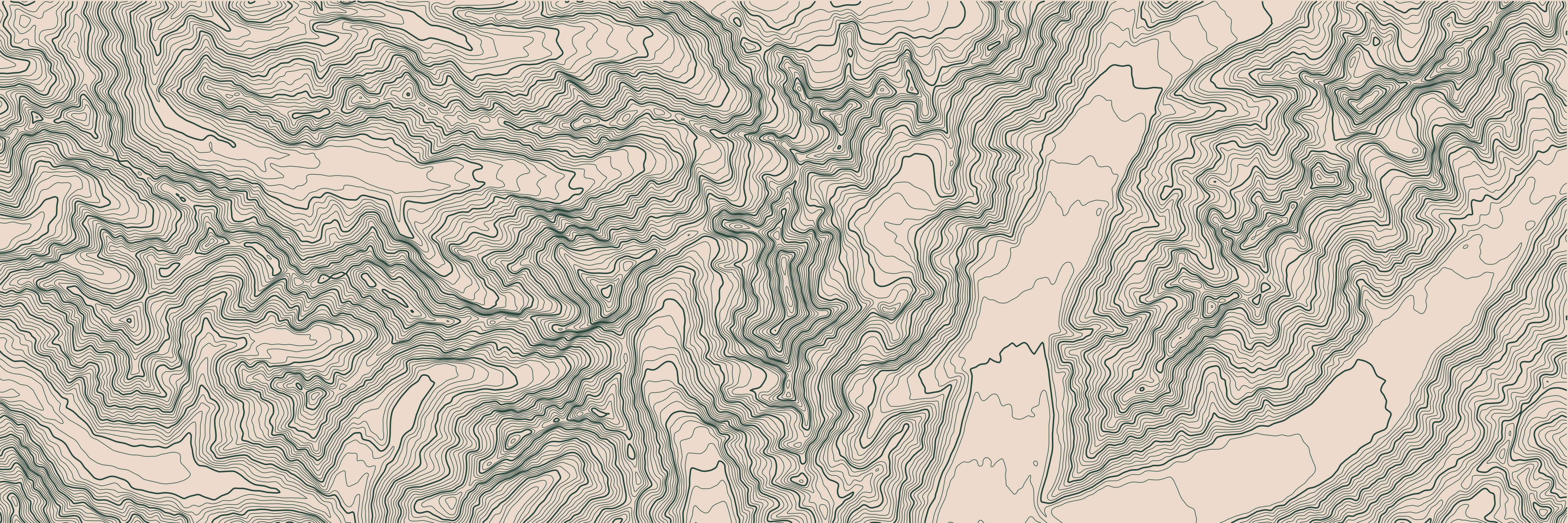 Topo Mont Cook Vert Forêt — 9 × 3 m
