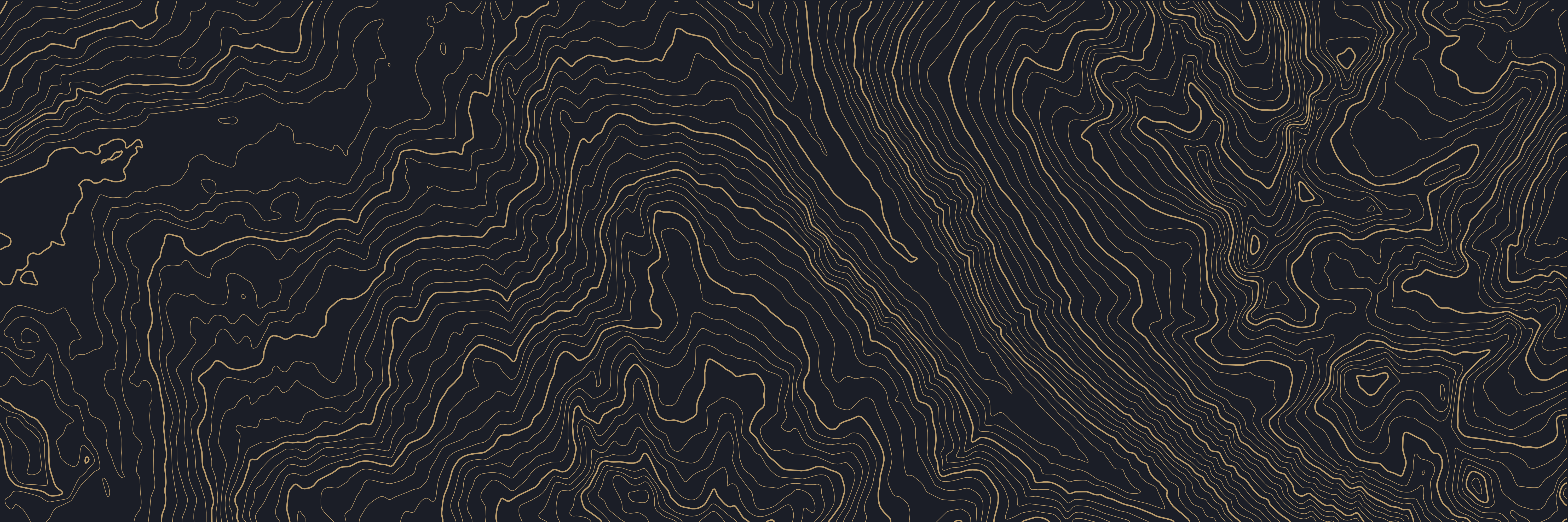 Topo Whistler Nuit — 9 × 3 m