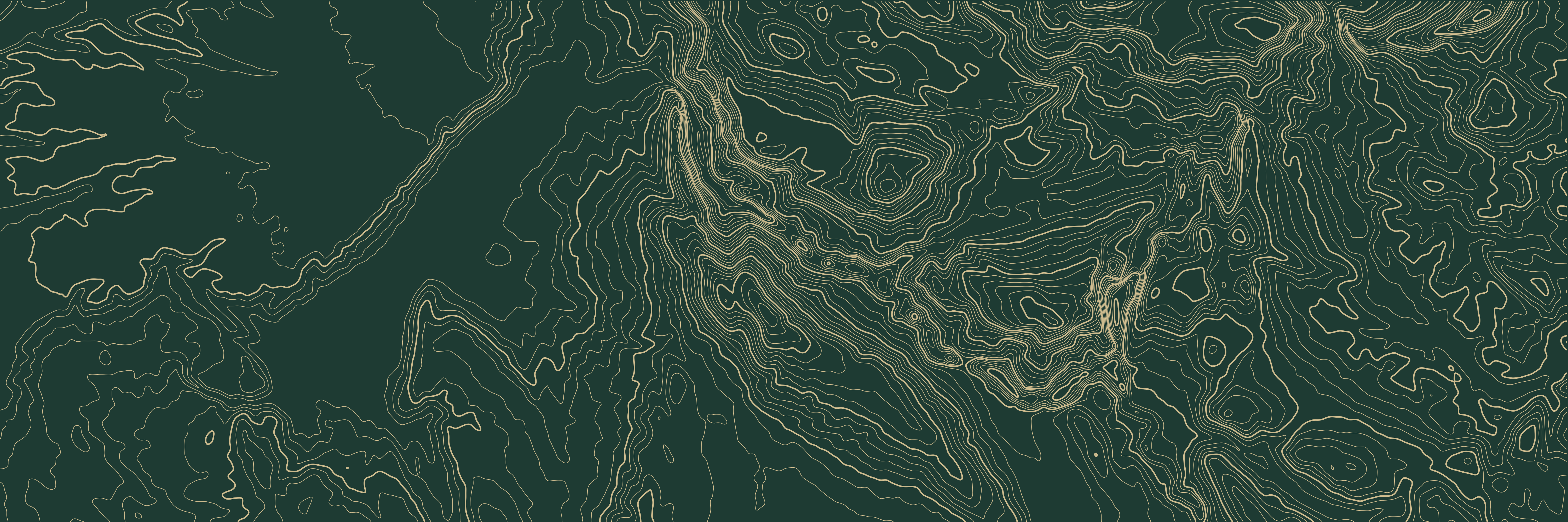 Topo Verdon Vert bouteille — 9 × 3 m