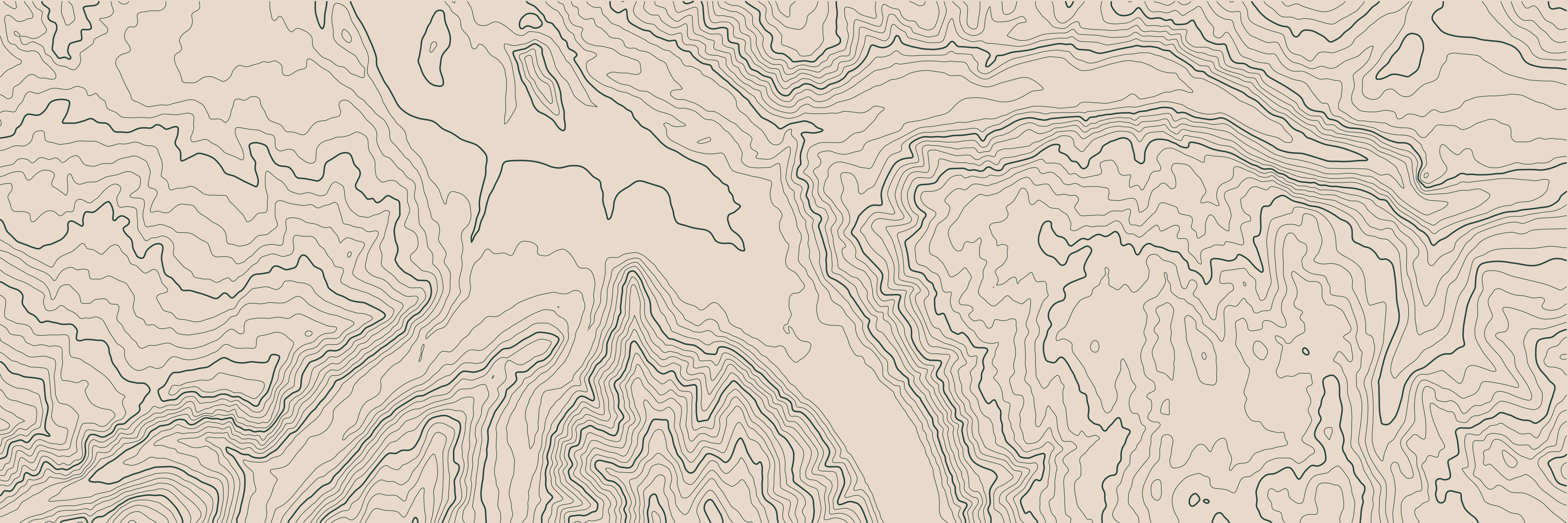 Topo Aspen Vert Forêt — 9 × 3 m