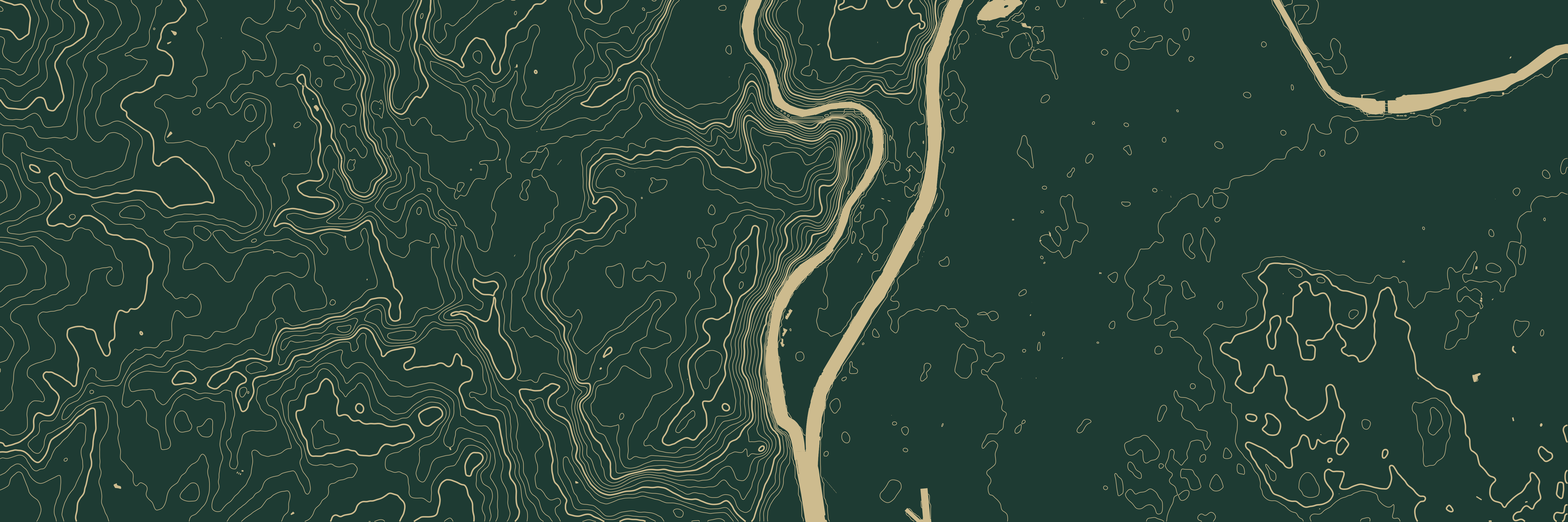 Topo Lyon Vert bouteille — 9 × 3 m