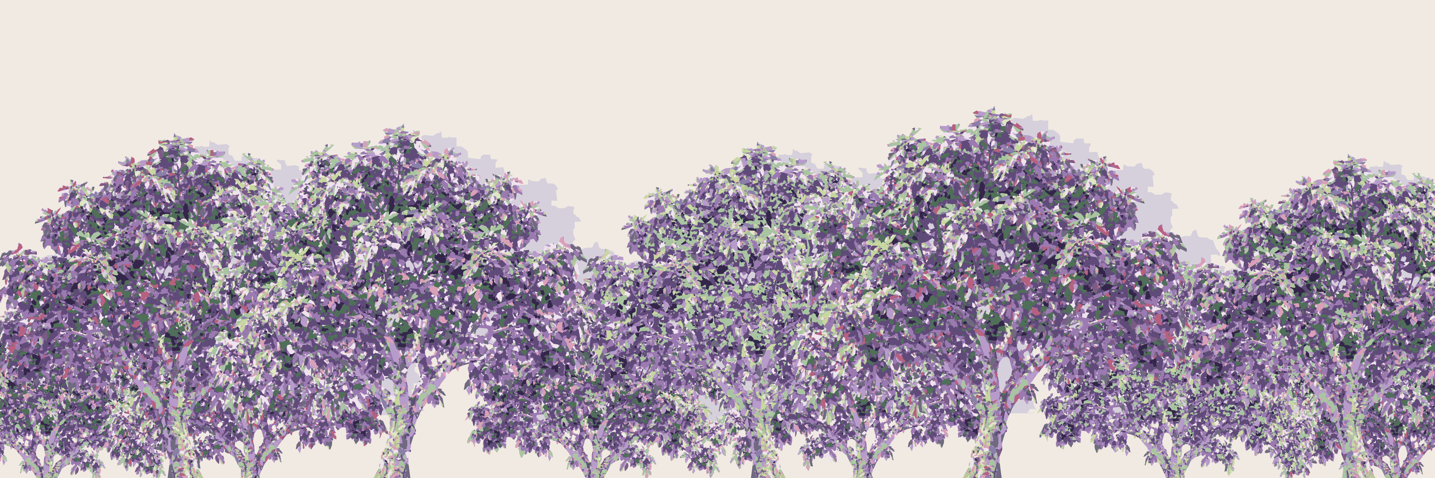 Lilac Figuier — 9 × 3 m