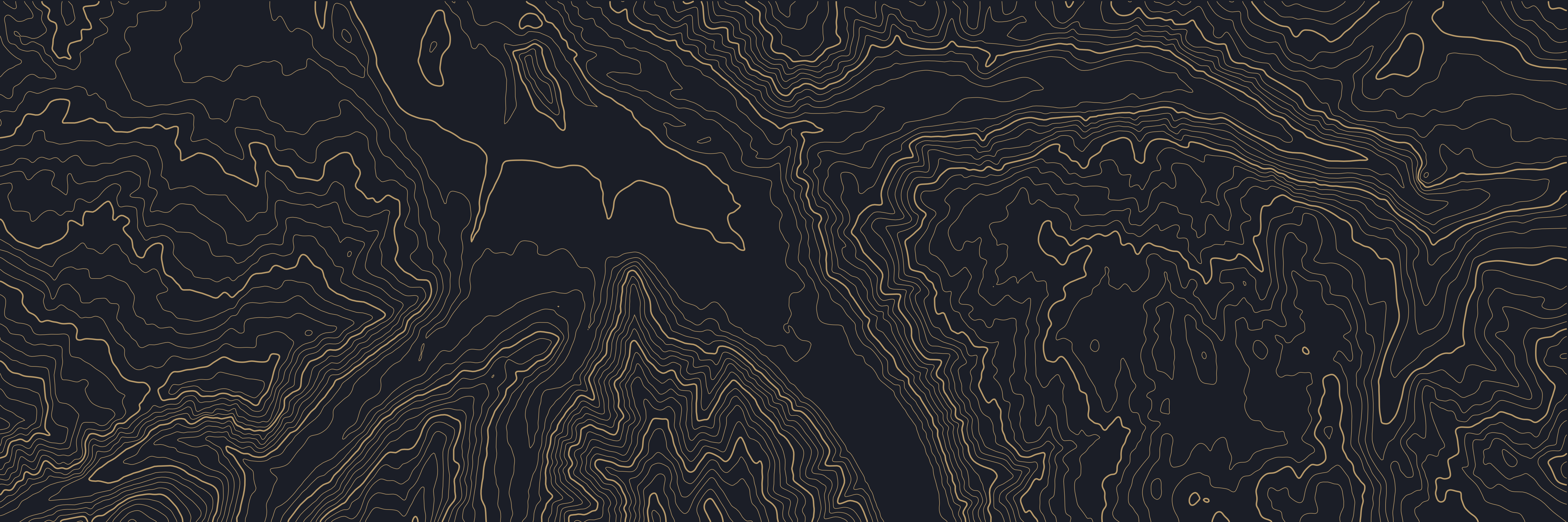 Topo Aspen Nuit — 9 × 3 m
