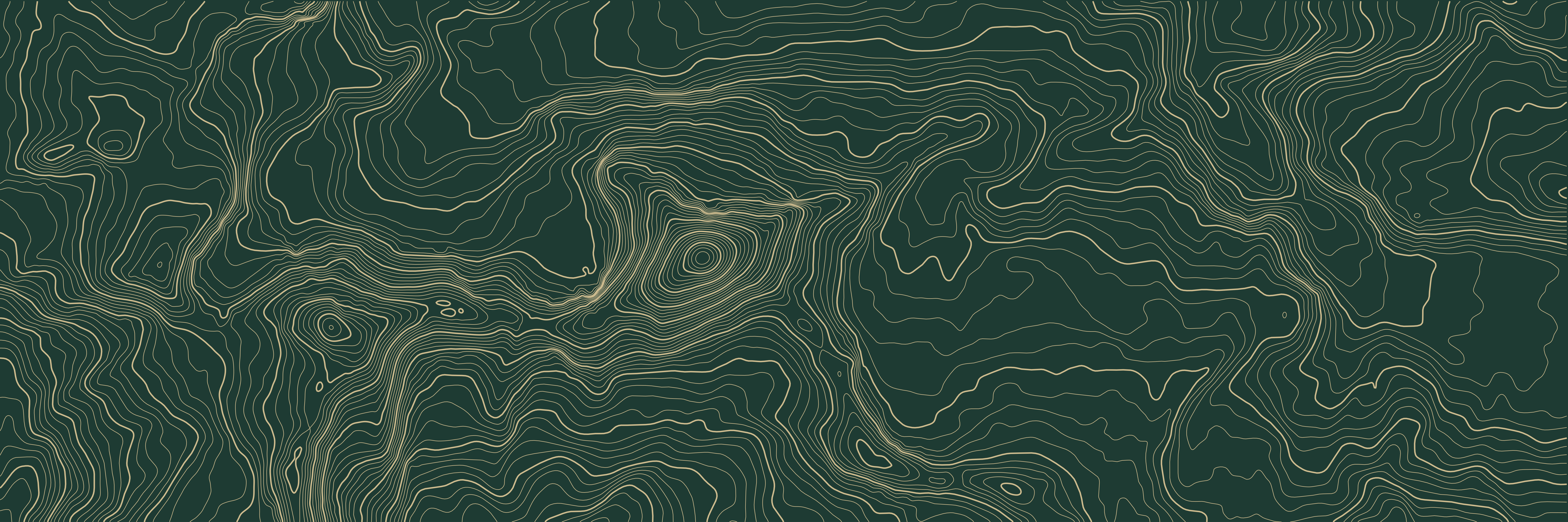 Topo Cervin Vert Bouteille — 9 × 3 m