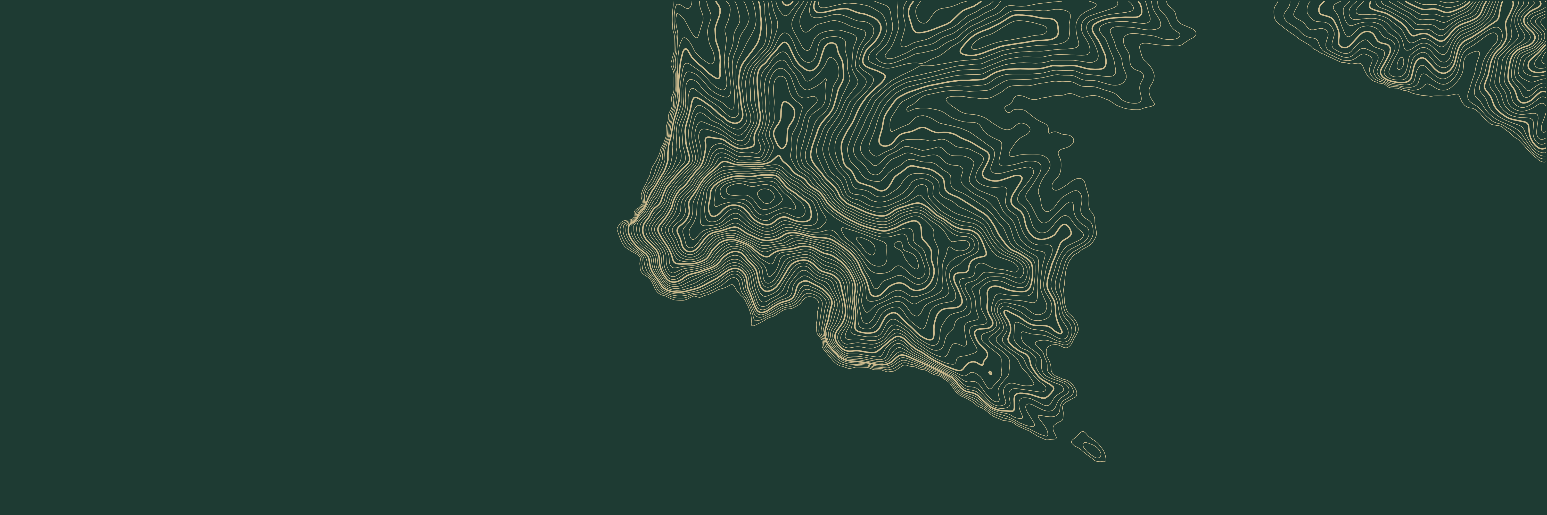 Topo Portofino Vert bouteille — 9 × 3 m