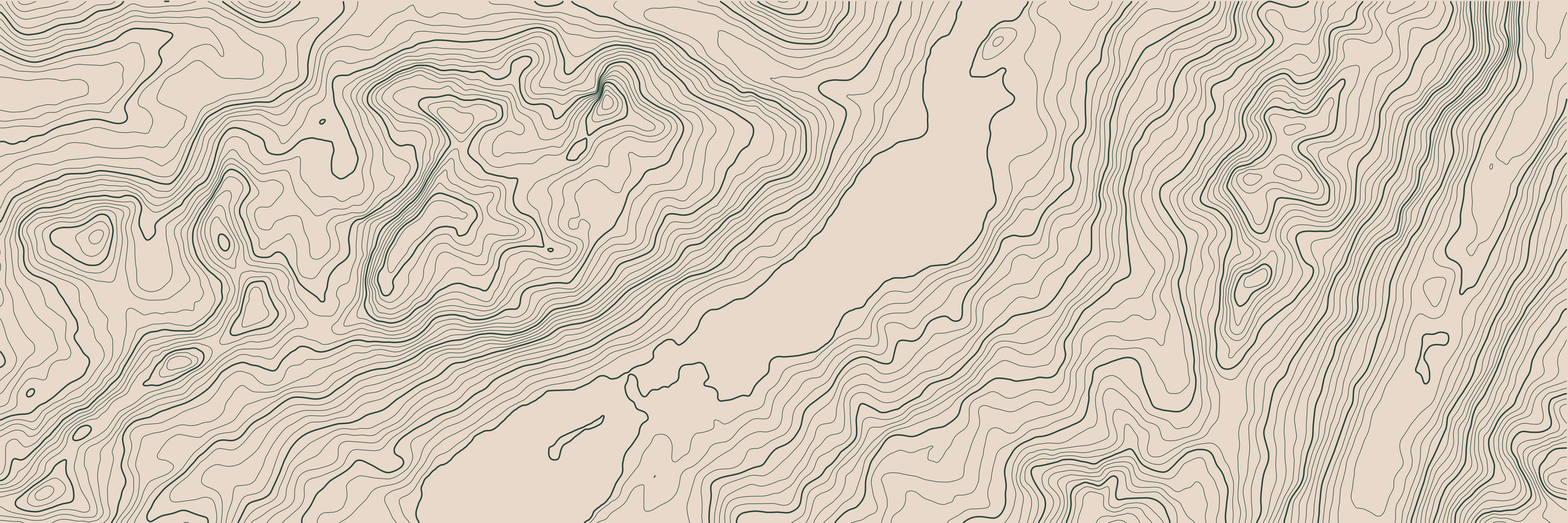 Topo St-Moritz Vert Forêt — 9 × 3 m