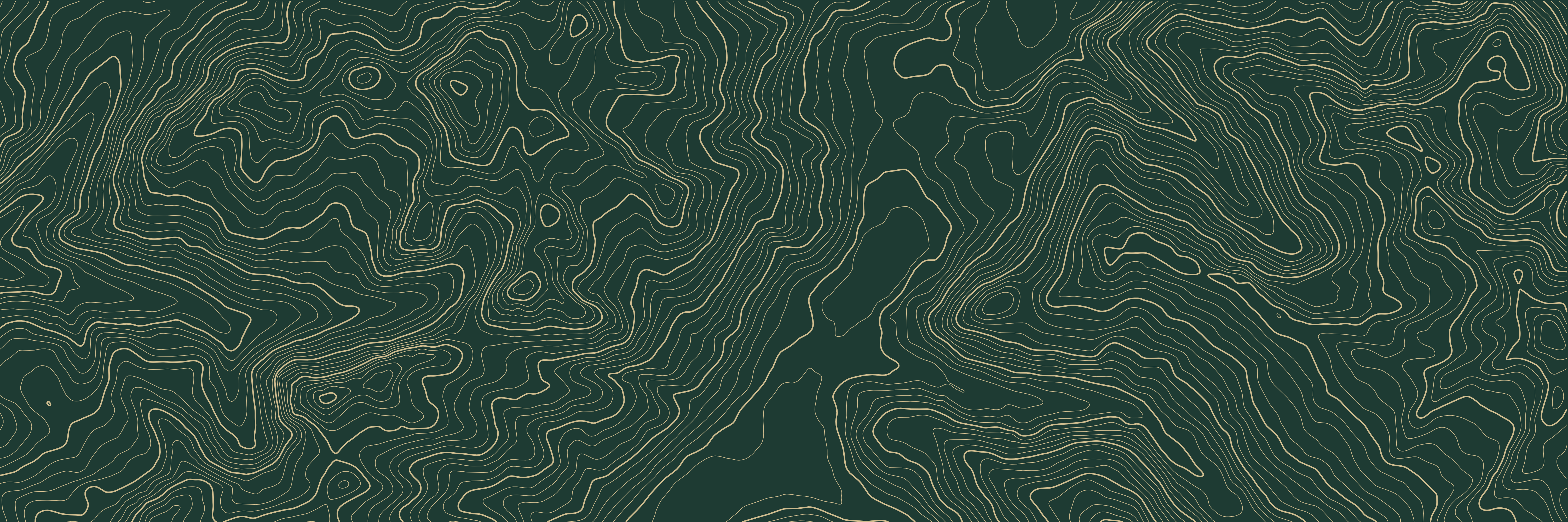 Topo Davos-Klosters Verde botella — 9 × 3 m