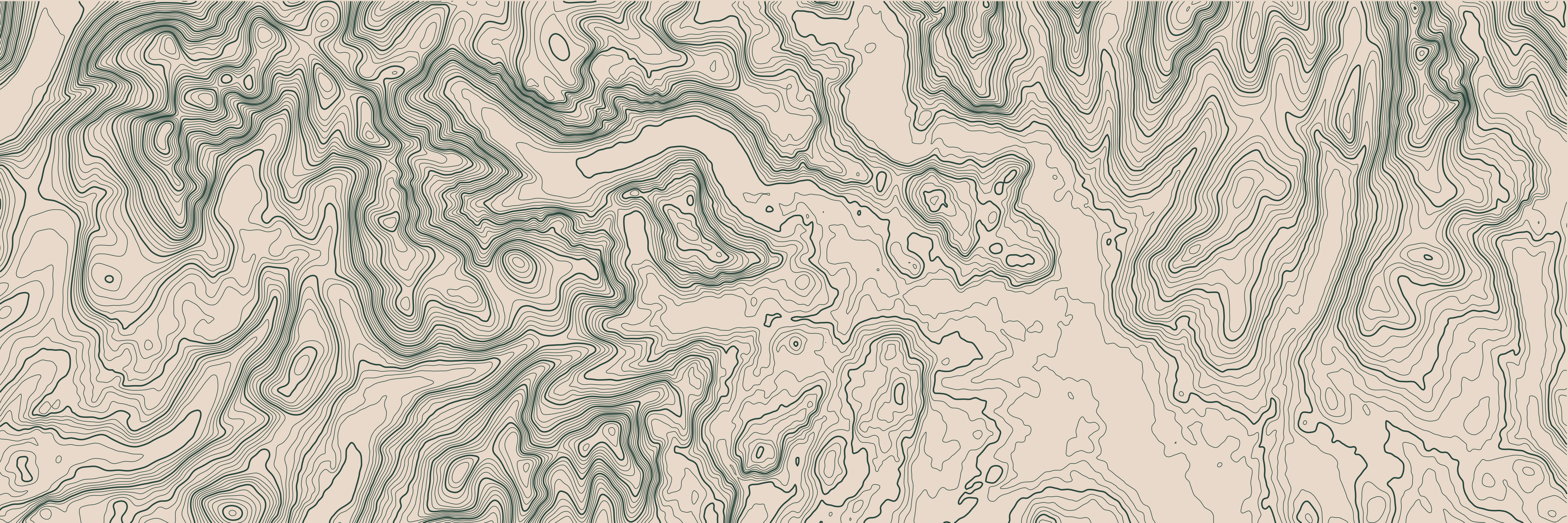 Topo Lake District Vert Forêt — 9 × 3 m